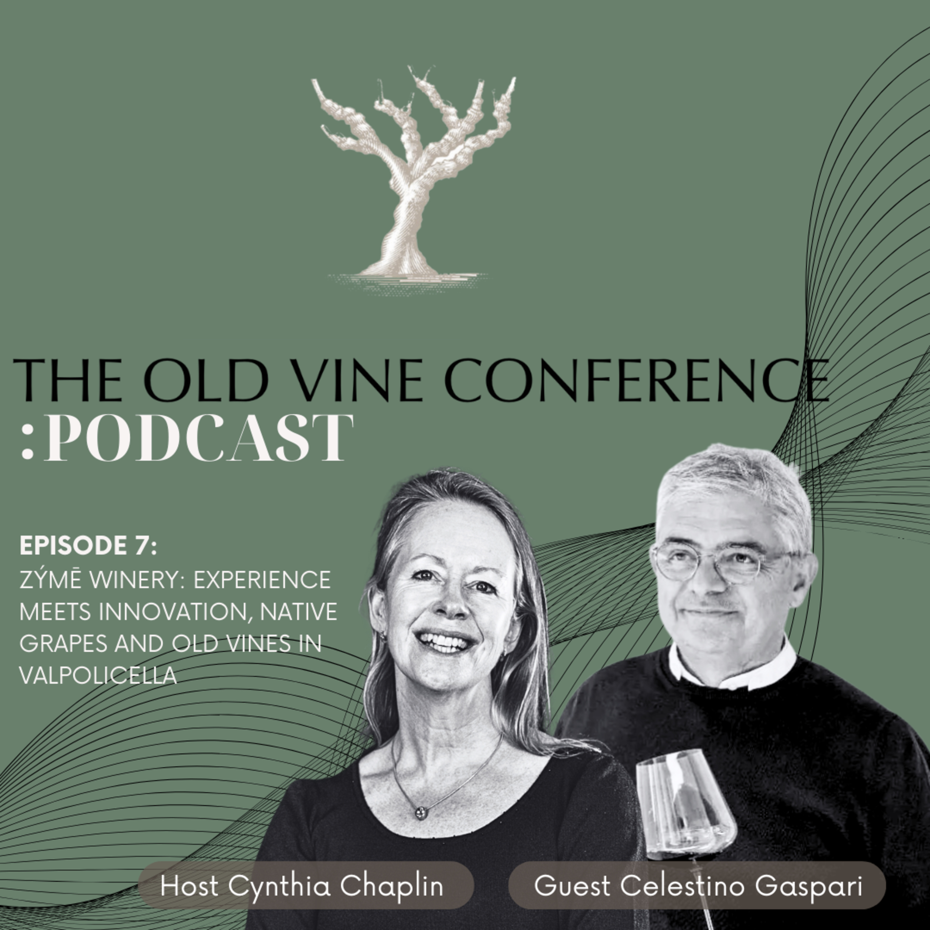 Ep. 7 Zýmē Winery: Experience meets innovation, native grapes & old vines in Valpolicella - The Old Vine Conference Podcast episode artwork