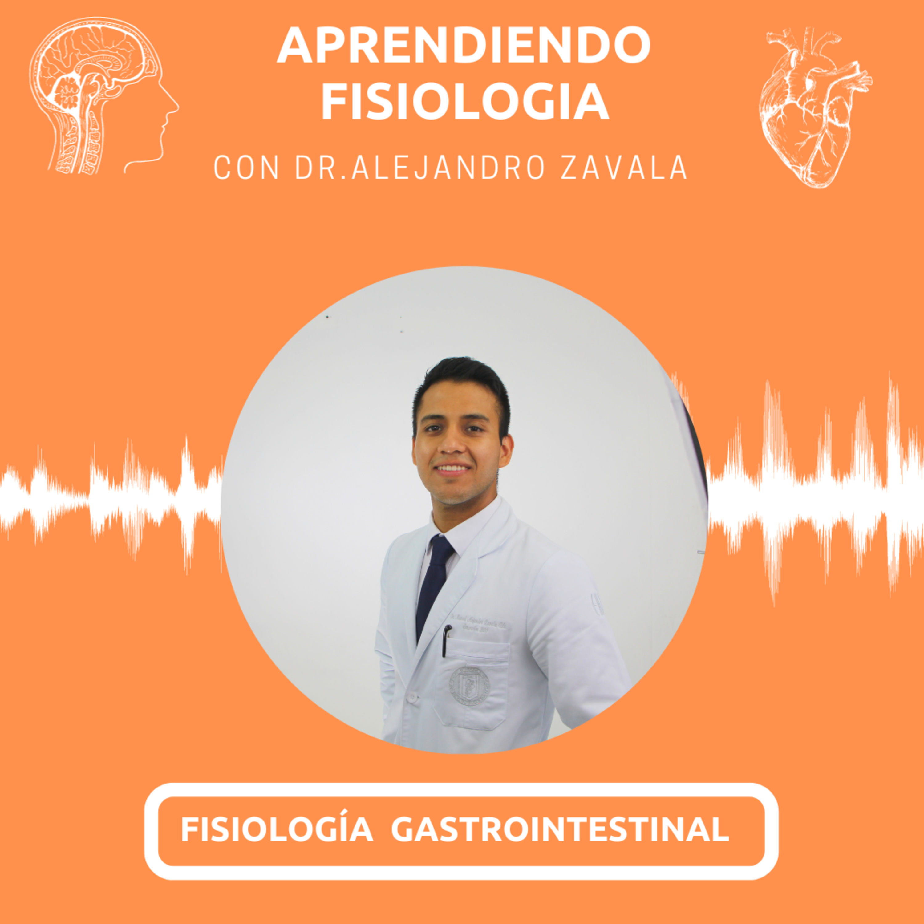 #103 Fisiología Gastrointestinal - Absorción de nutrientes y gastrinoma. episode artwork