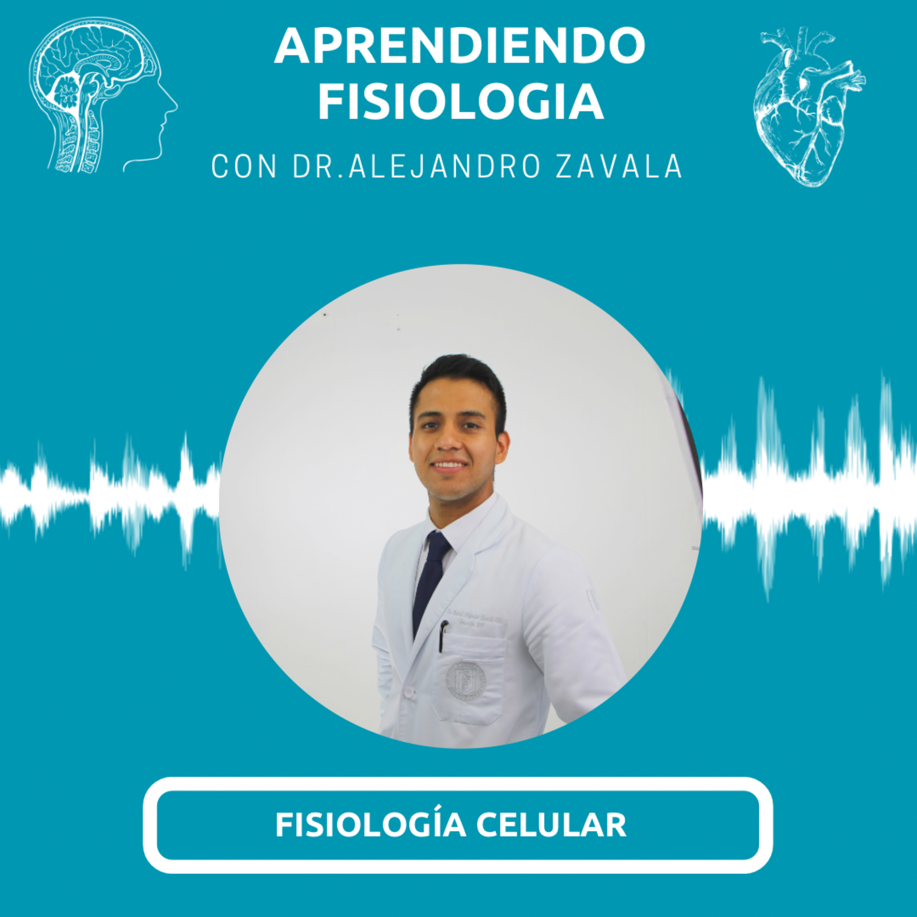 #122 Fisiología celular - Fuerzas de starling.  episode artwork