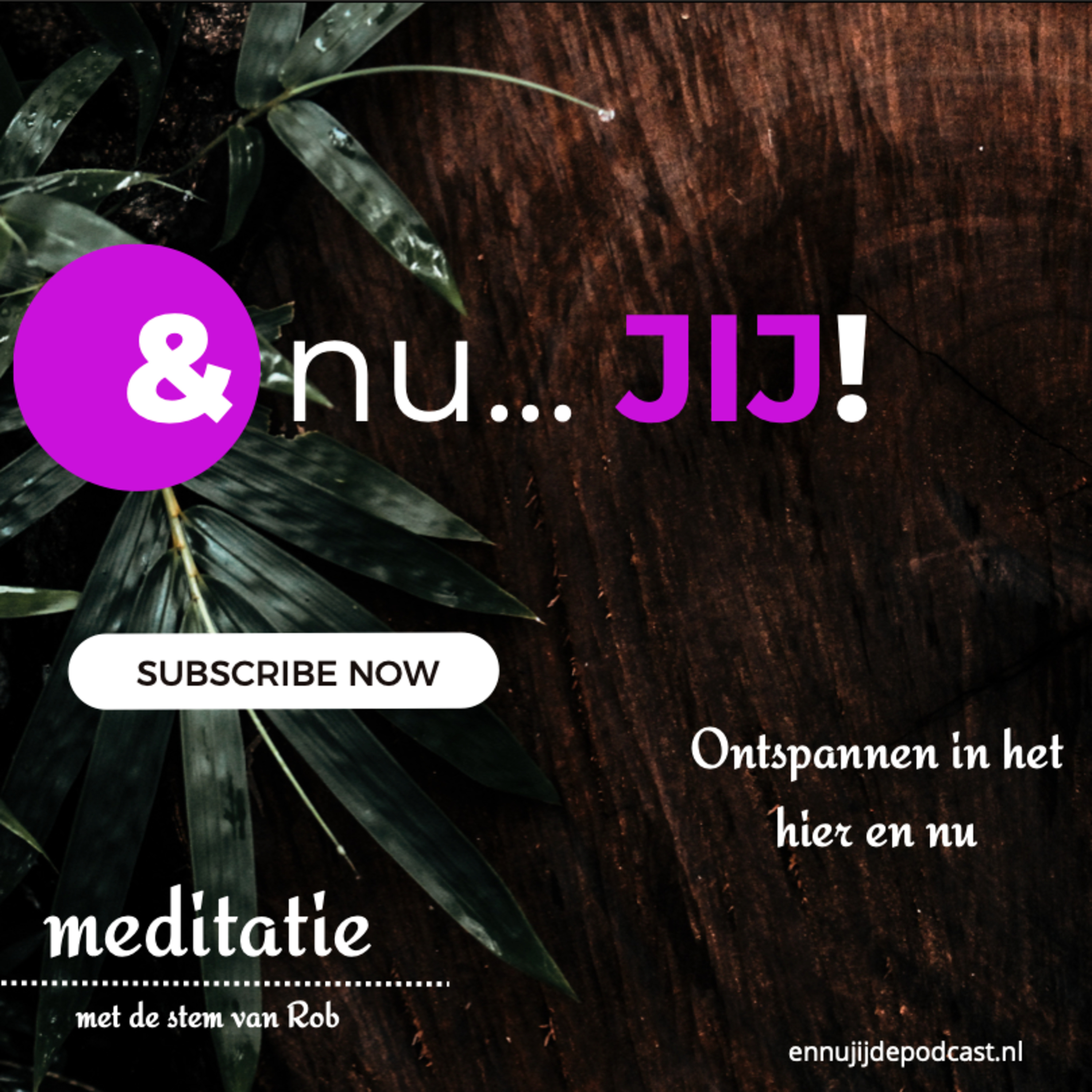 Meditatie: ontspannen in het hier en nu (zonder achtergrondmuziek) episode artwork
