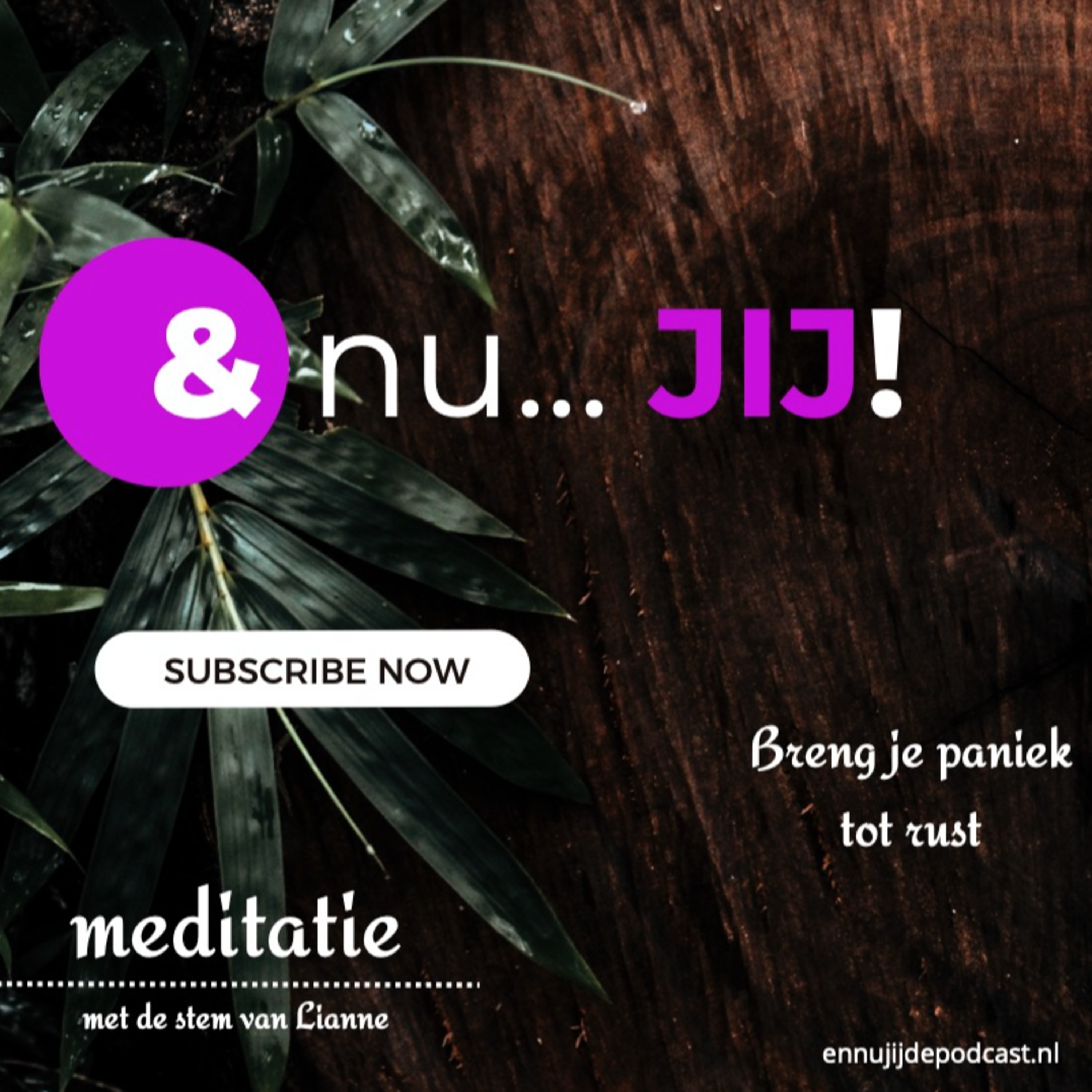 En nu...JIJ! - de podcast