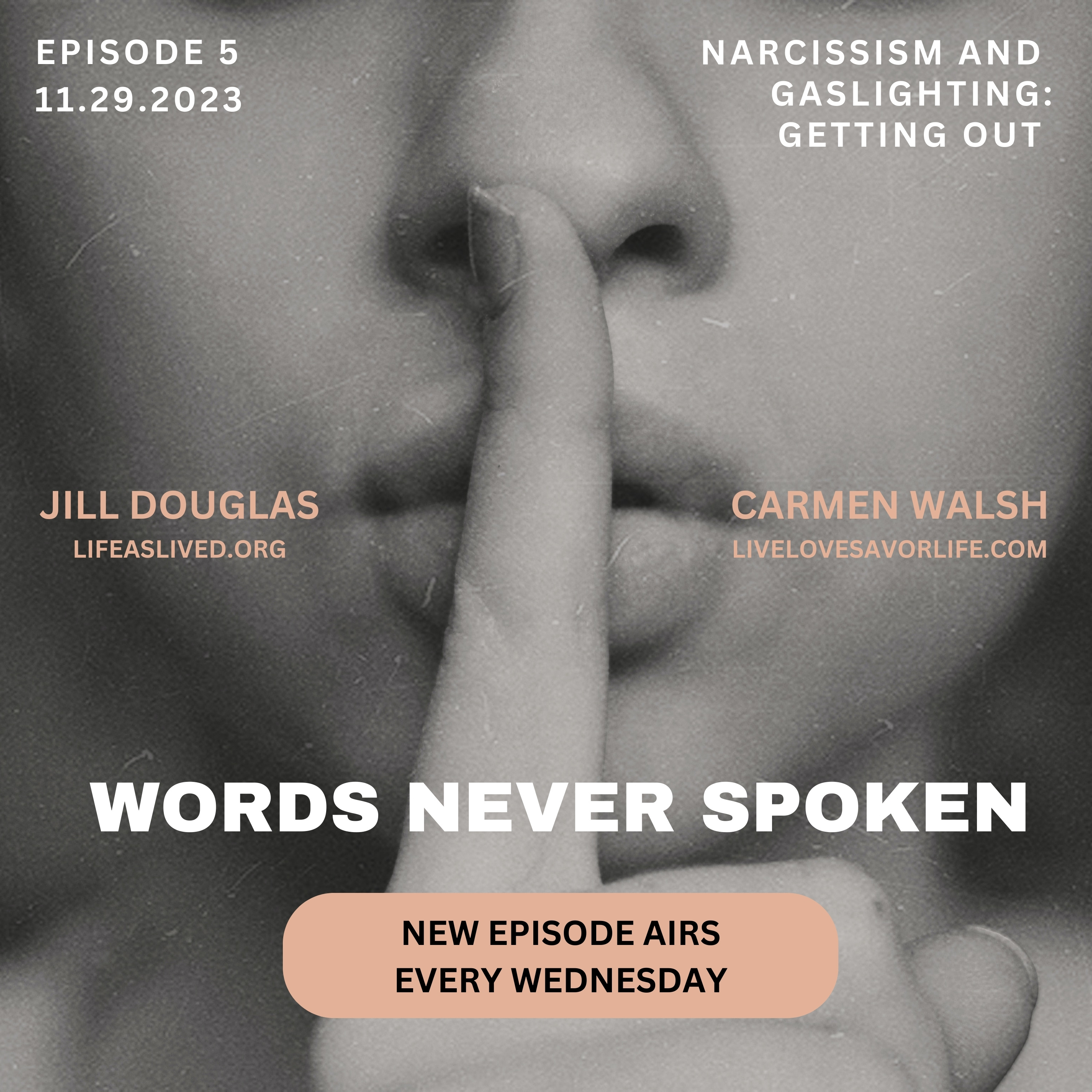 Narcissism and Gaslighting: Getting Out  episode artwork