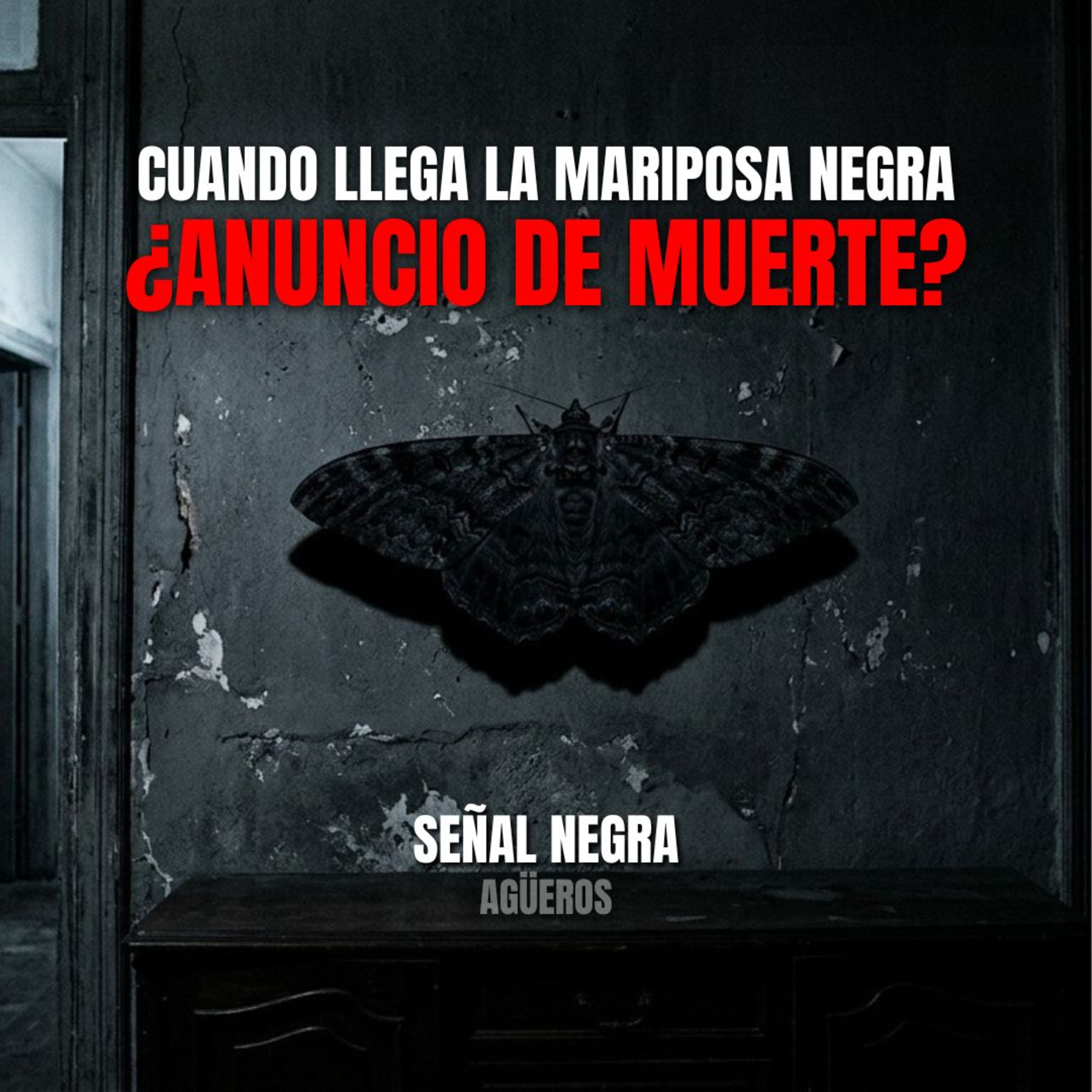 La mariposa negra: el agüero que anuncia desgracias en casa episode artwork