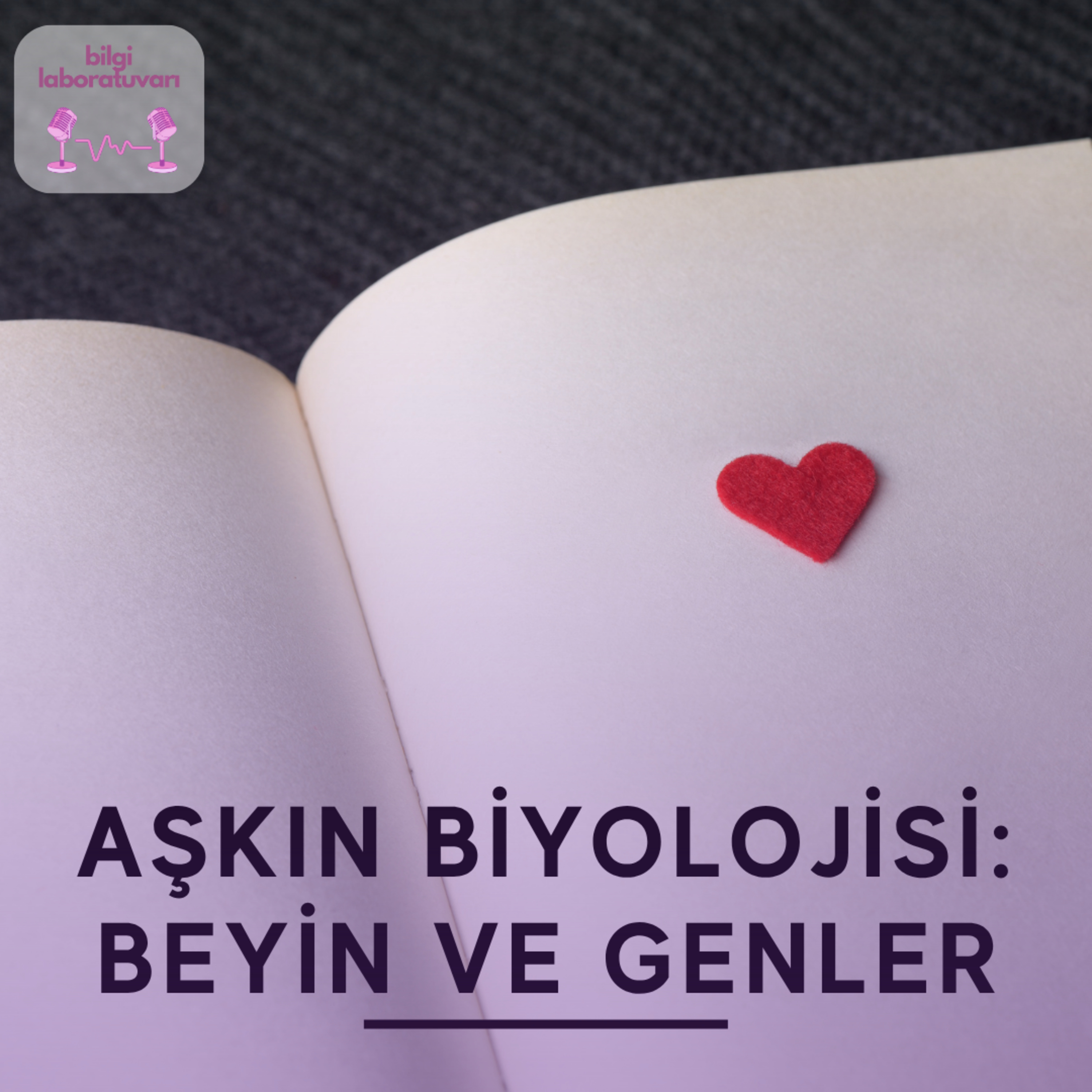 Aşkın Biyolojisi: Beyin ve Genler episode artwork