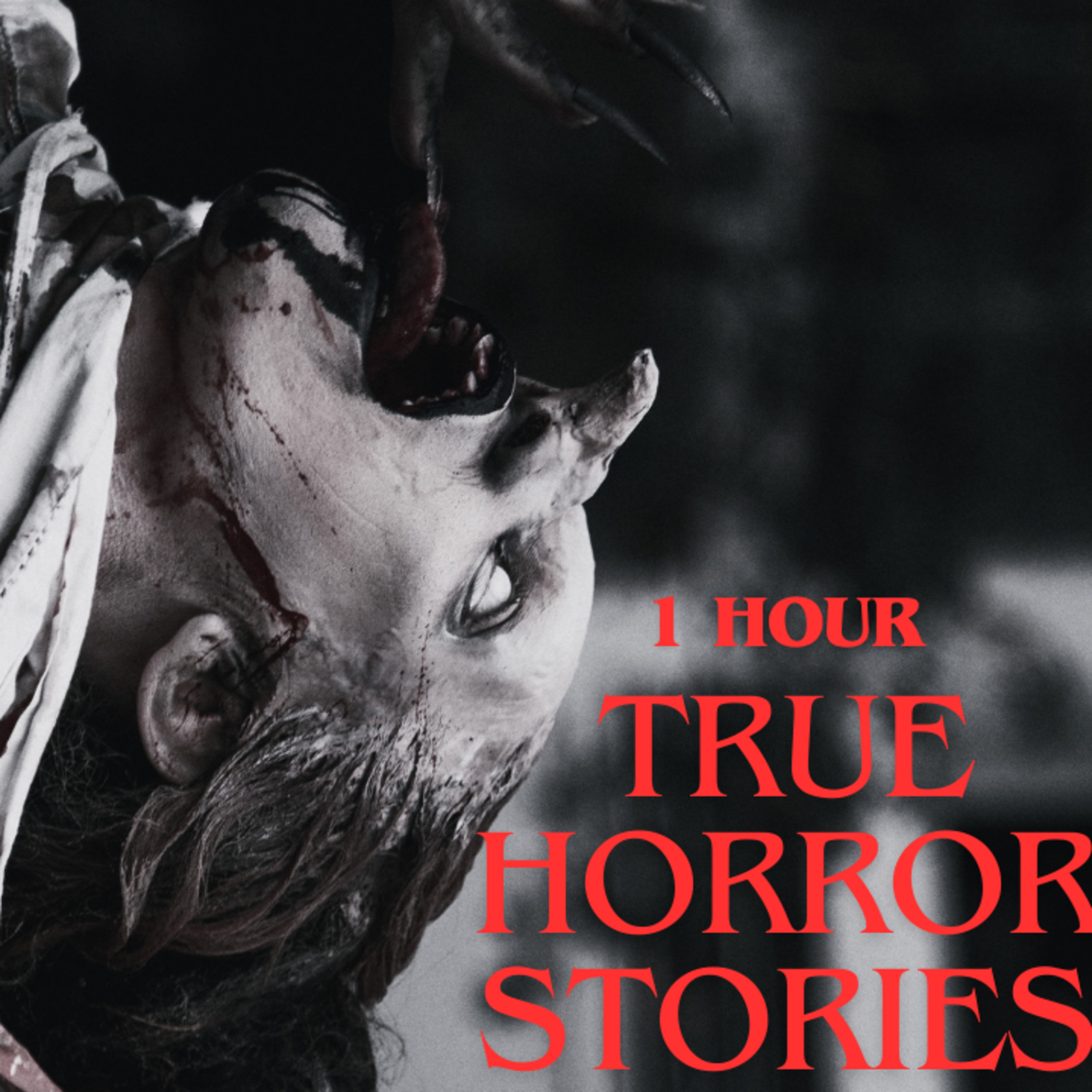 1 Hour True Horror Stories | Vol. 2 November (Compilation) | Sleep Helper episode artwork