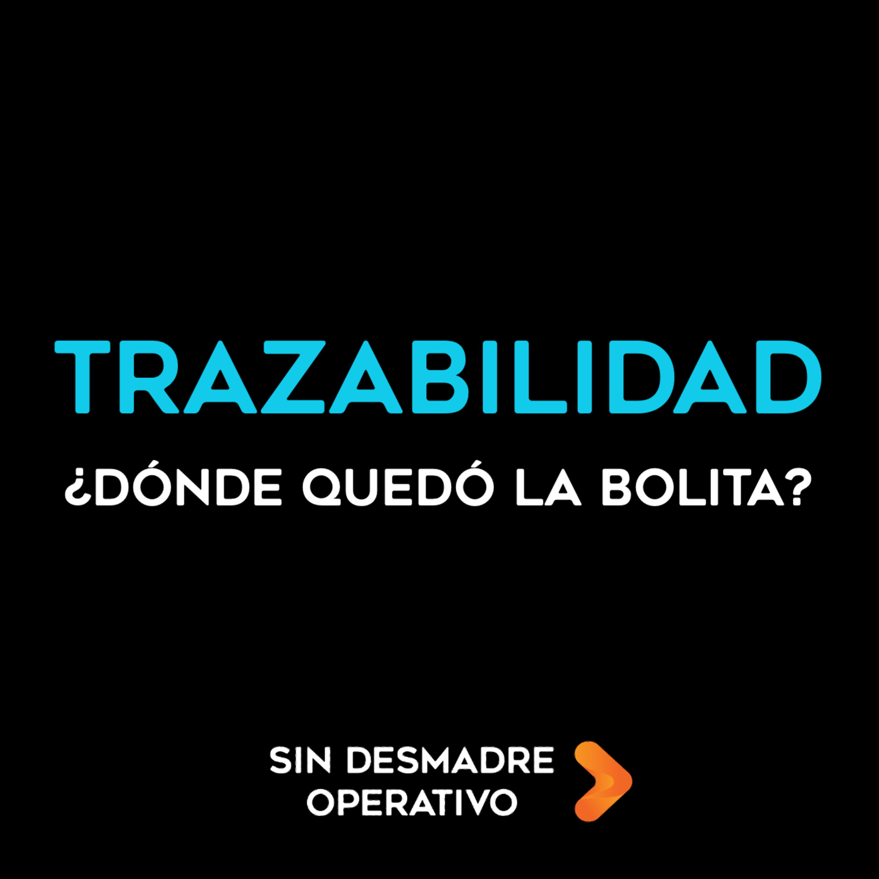 Sin Desmadre Operativo