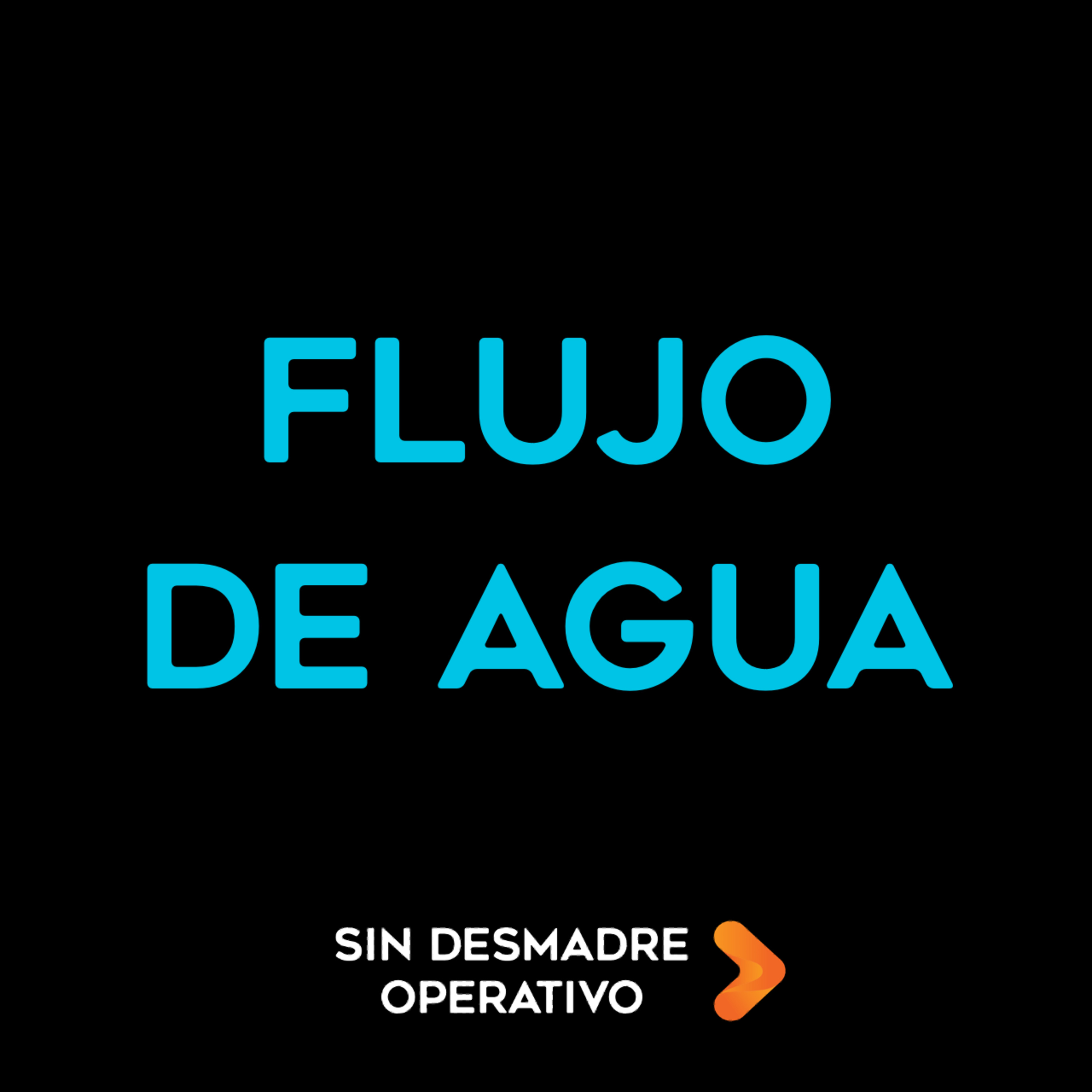 Sin Desmadre Operativo