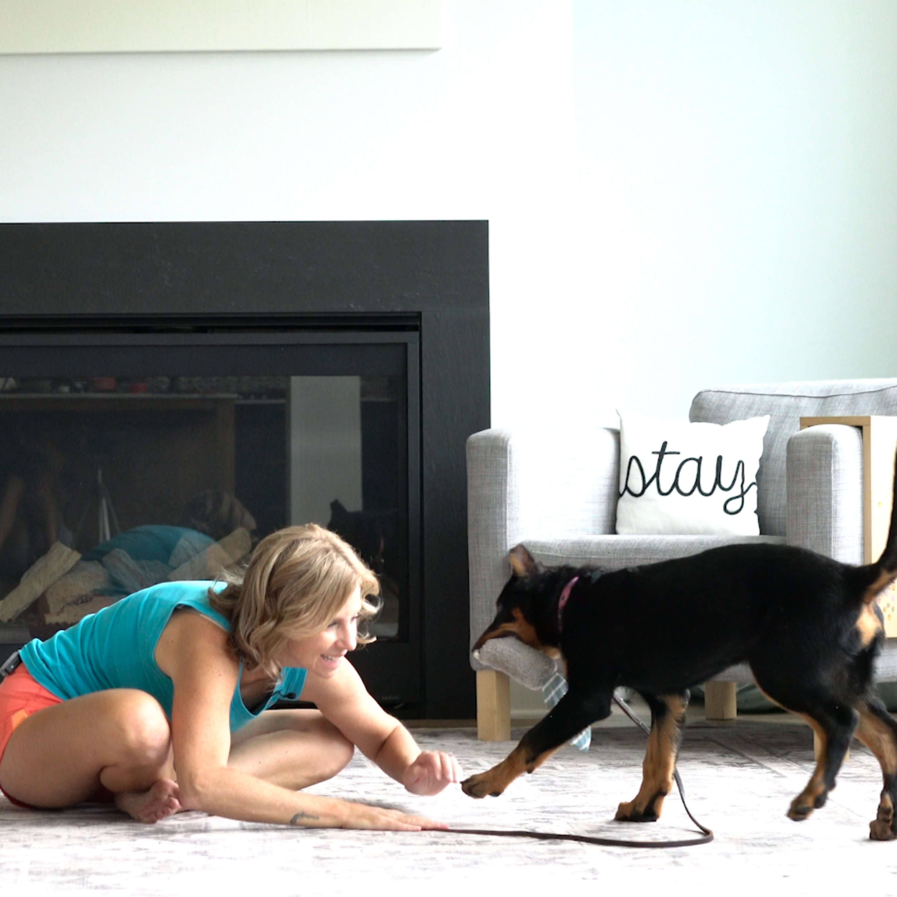 How to Properly Socialize Your New Puppy episode artwork