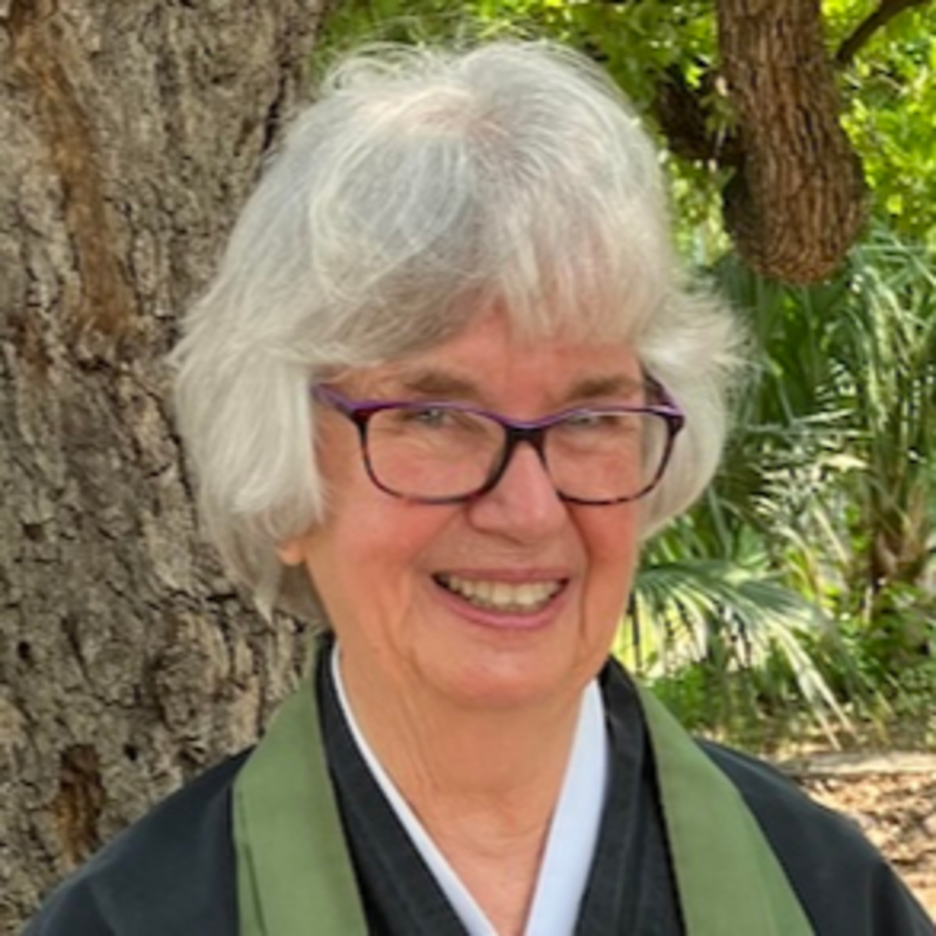 2023-09-16 The Five Hindrances: A Dharma Talk by ShiOn Pat Yingst episode artwork