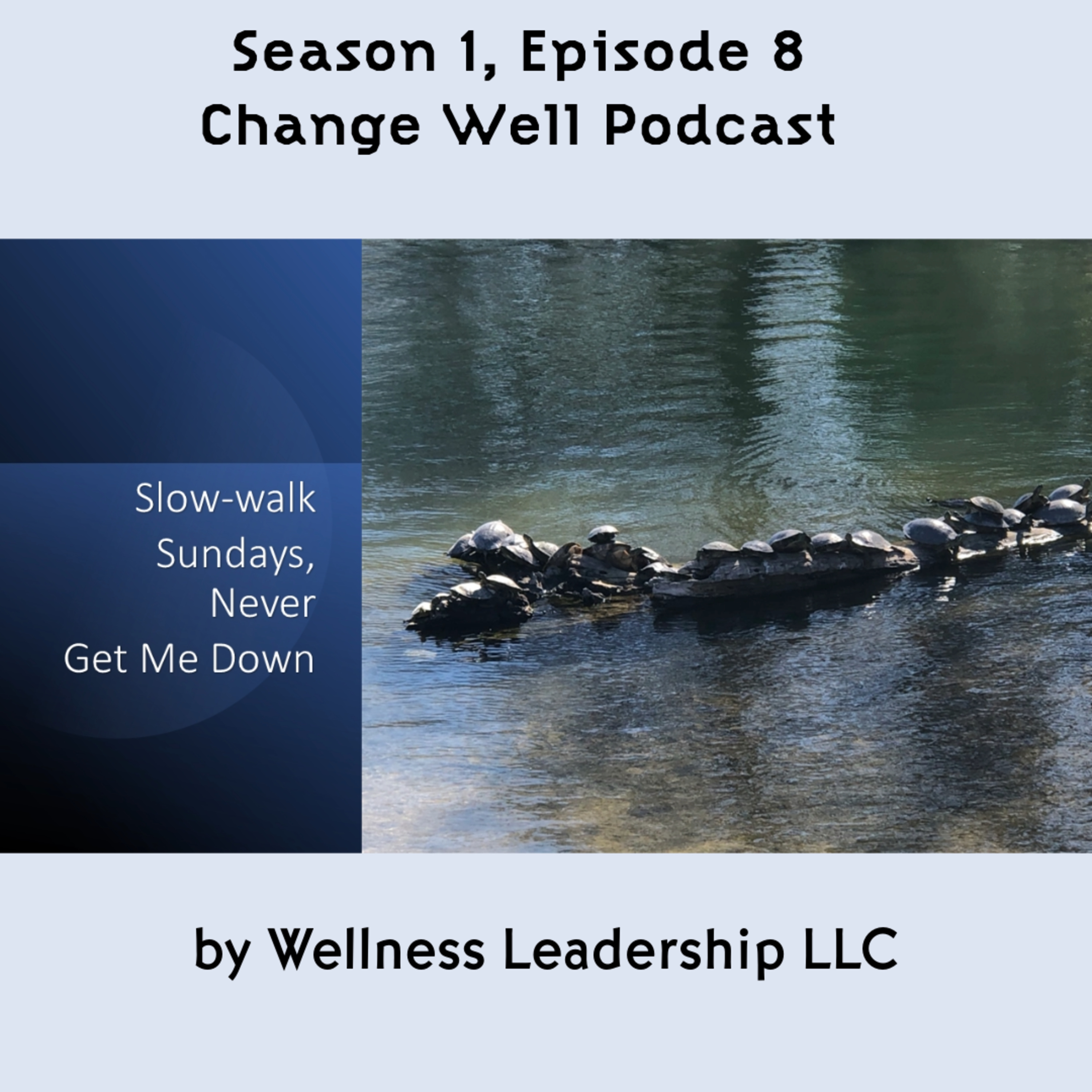 Change Well by Wellness Leadership LLC