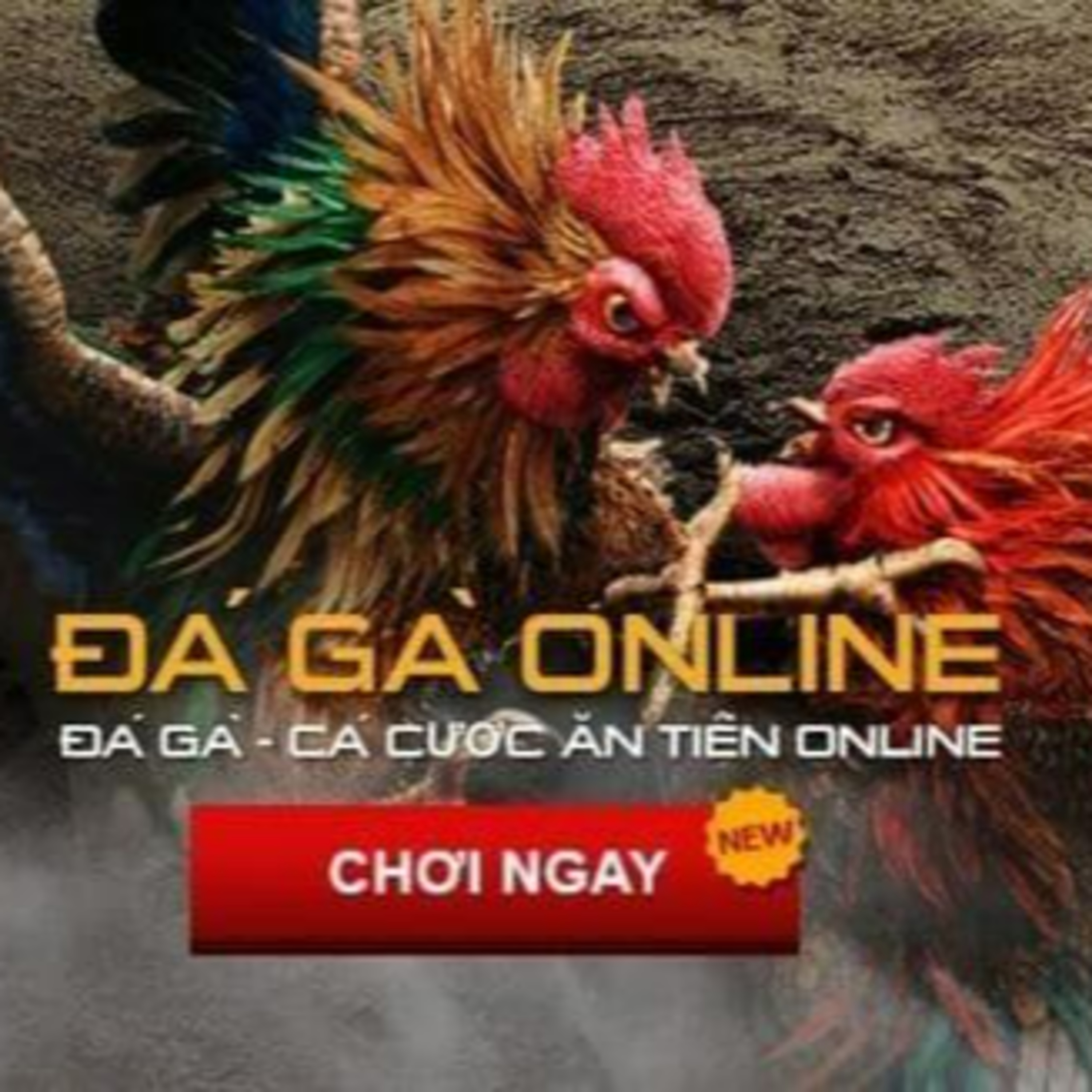 Liên Minh Săm Soi