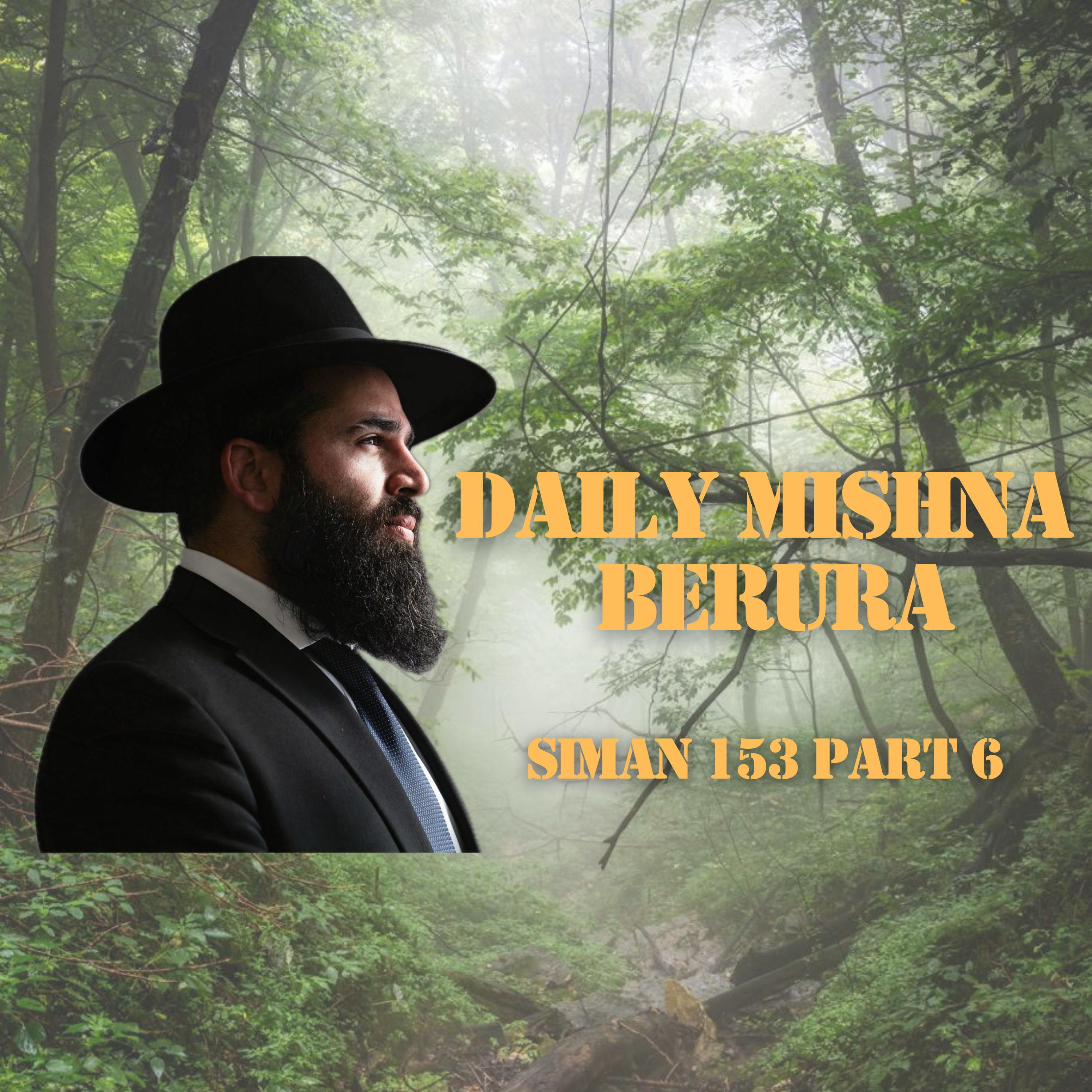 Siman 153 Part 6 - Daily Mishna Berura