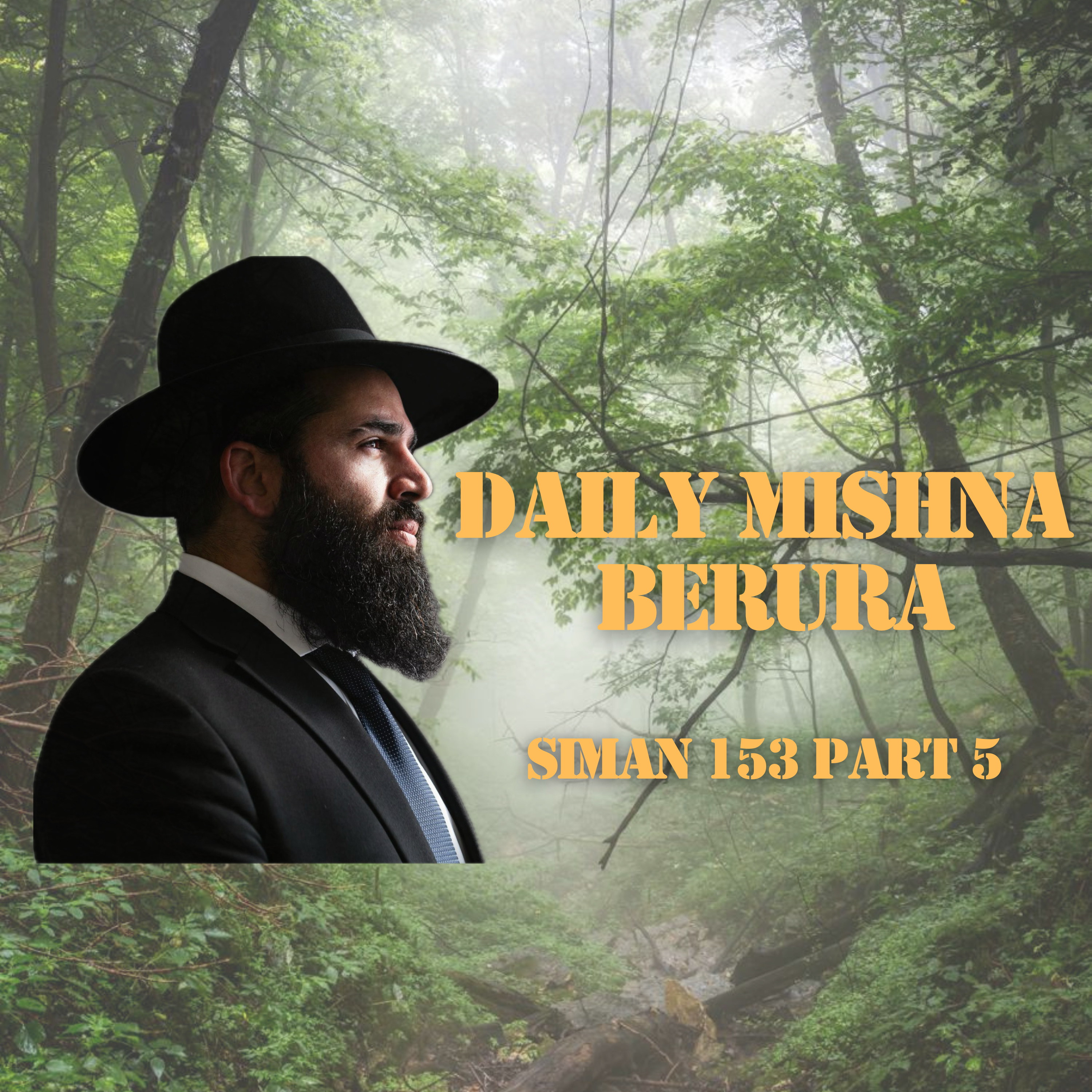 Siman 153 Part 5 - Daily Mishna Berura