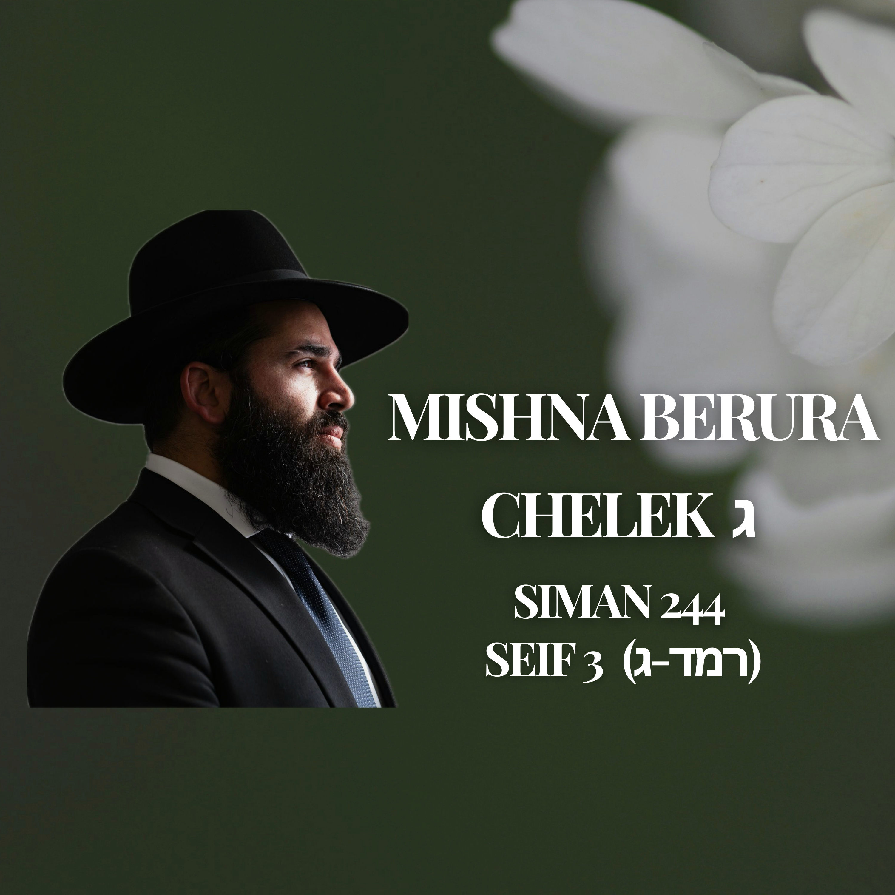 Mishna Berura Siman 244 Seif 3 & 4 (רמד-ד & ג)