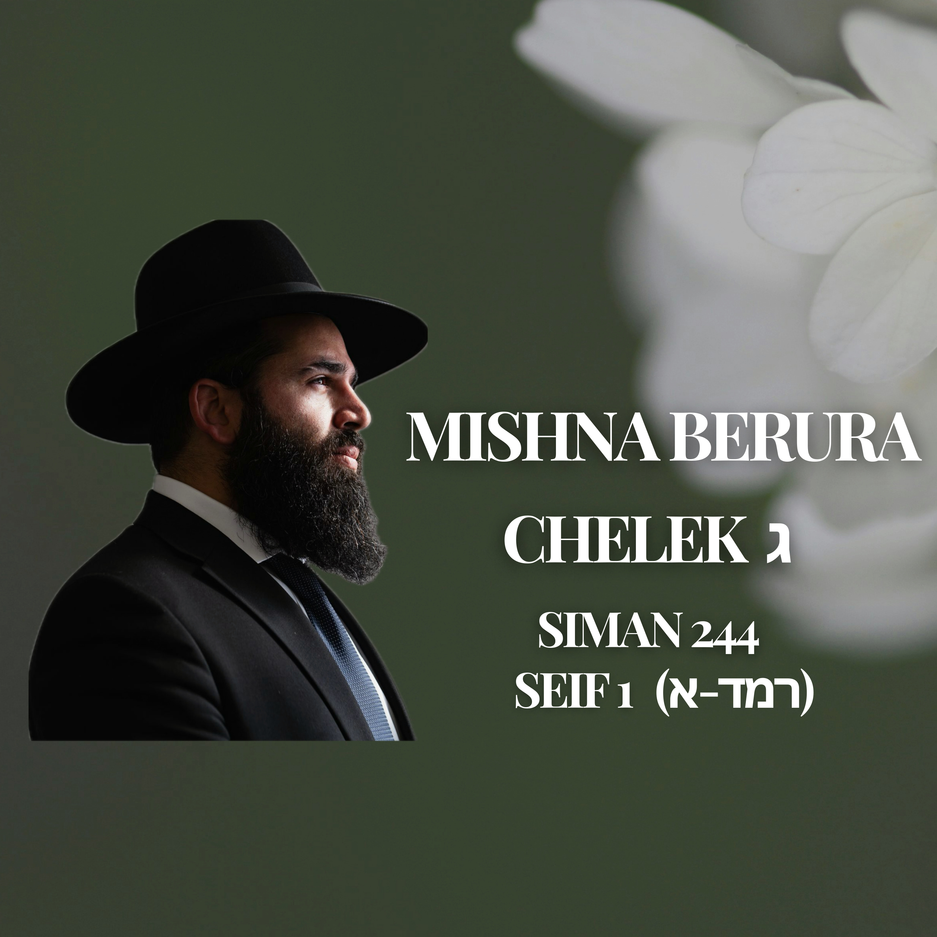 Mishna Berura Siman 244 Seif 1 (רמד-א)