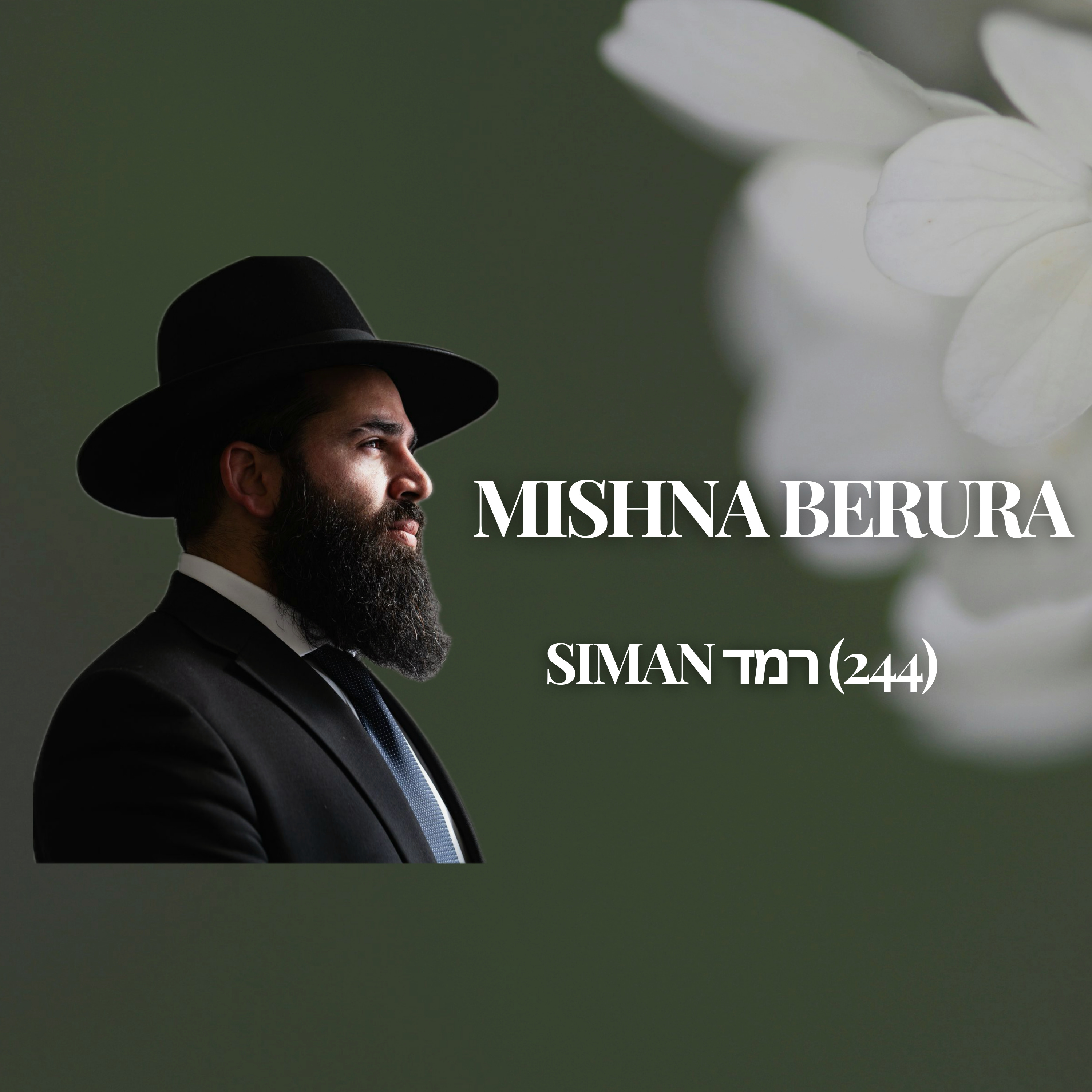 Siman רמד (244) - Daily Mishna Berura