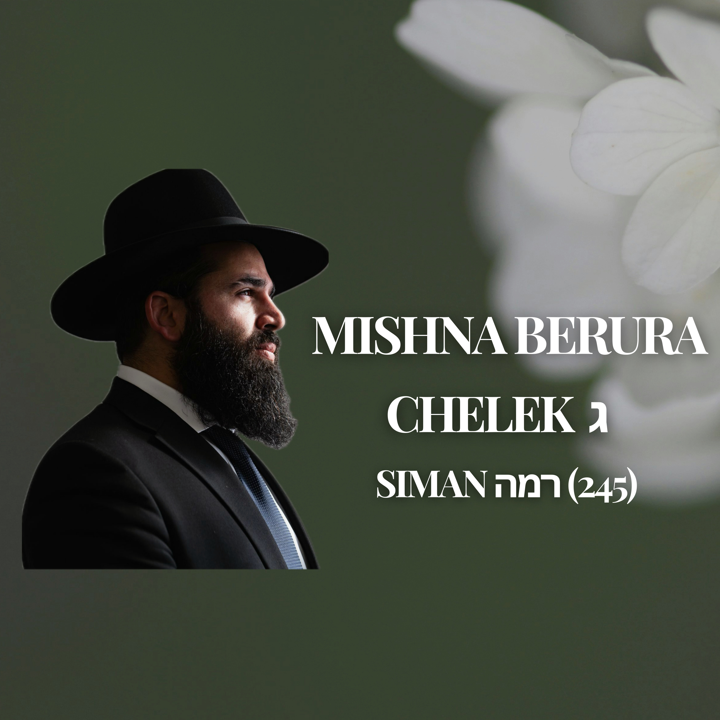 Mishna Berura Siman 245 (רמה)
