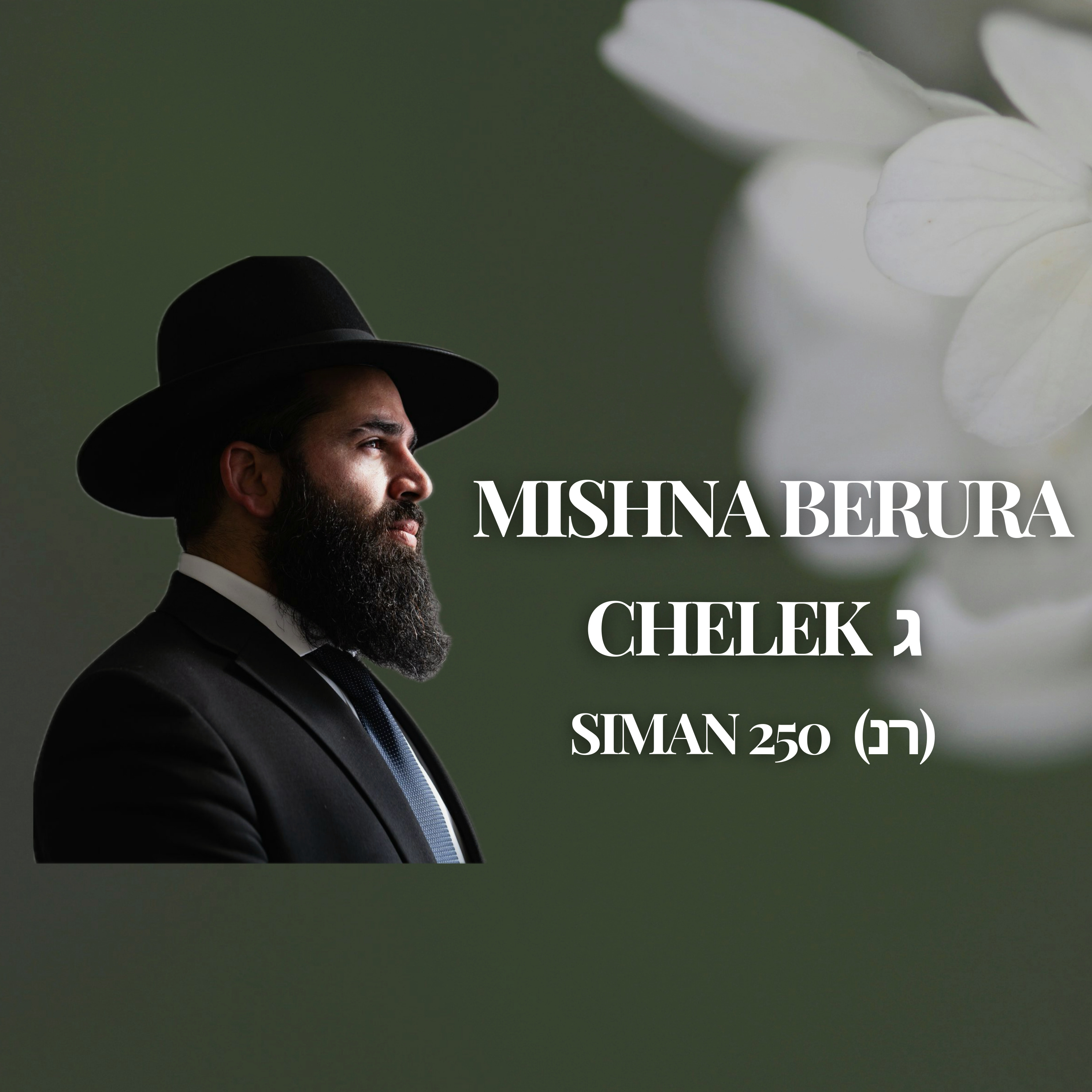 Mishna Berura Siman 250 (רנ)