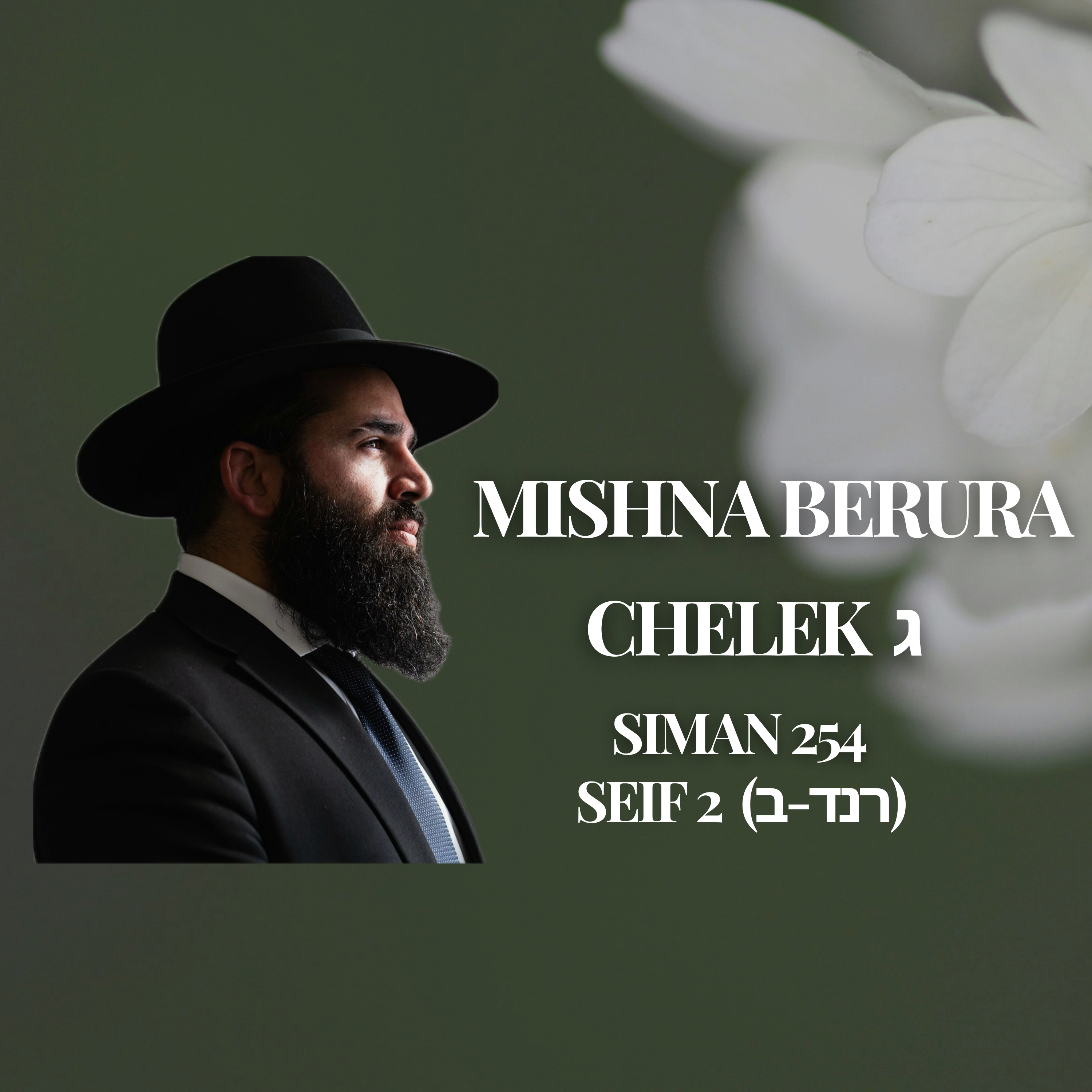 Mishna Berura Siman 254 Seif 2 (רנד-ב)