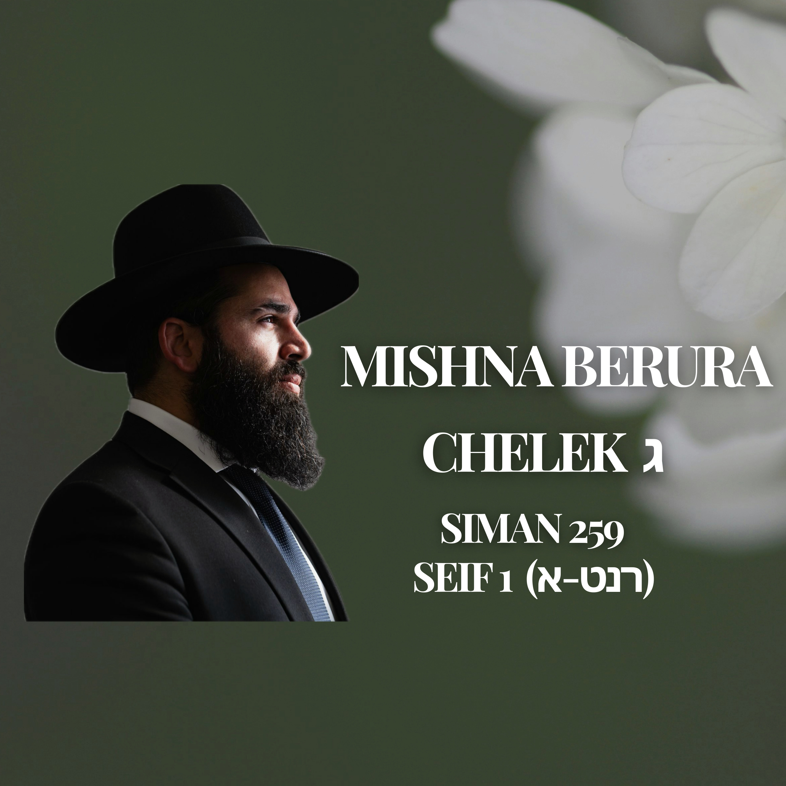 Mishna Berura Siman 259 Seif 1 (רנט-א)