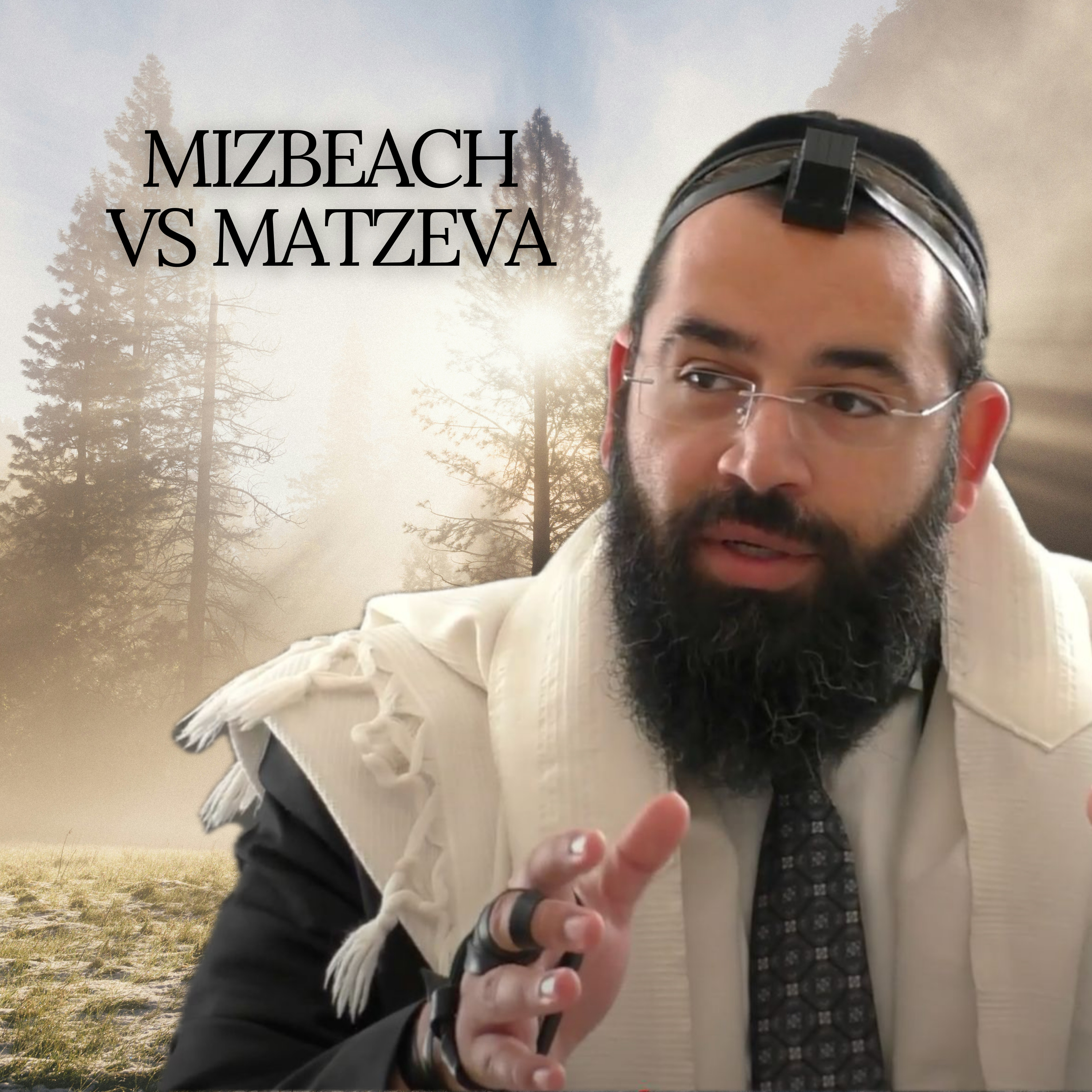 Mizbeach vs Matzeva - Parashat Shoftim