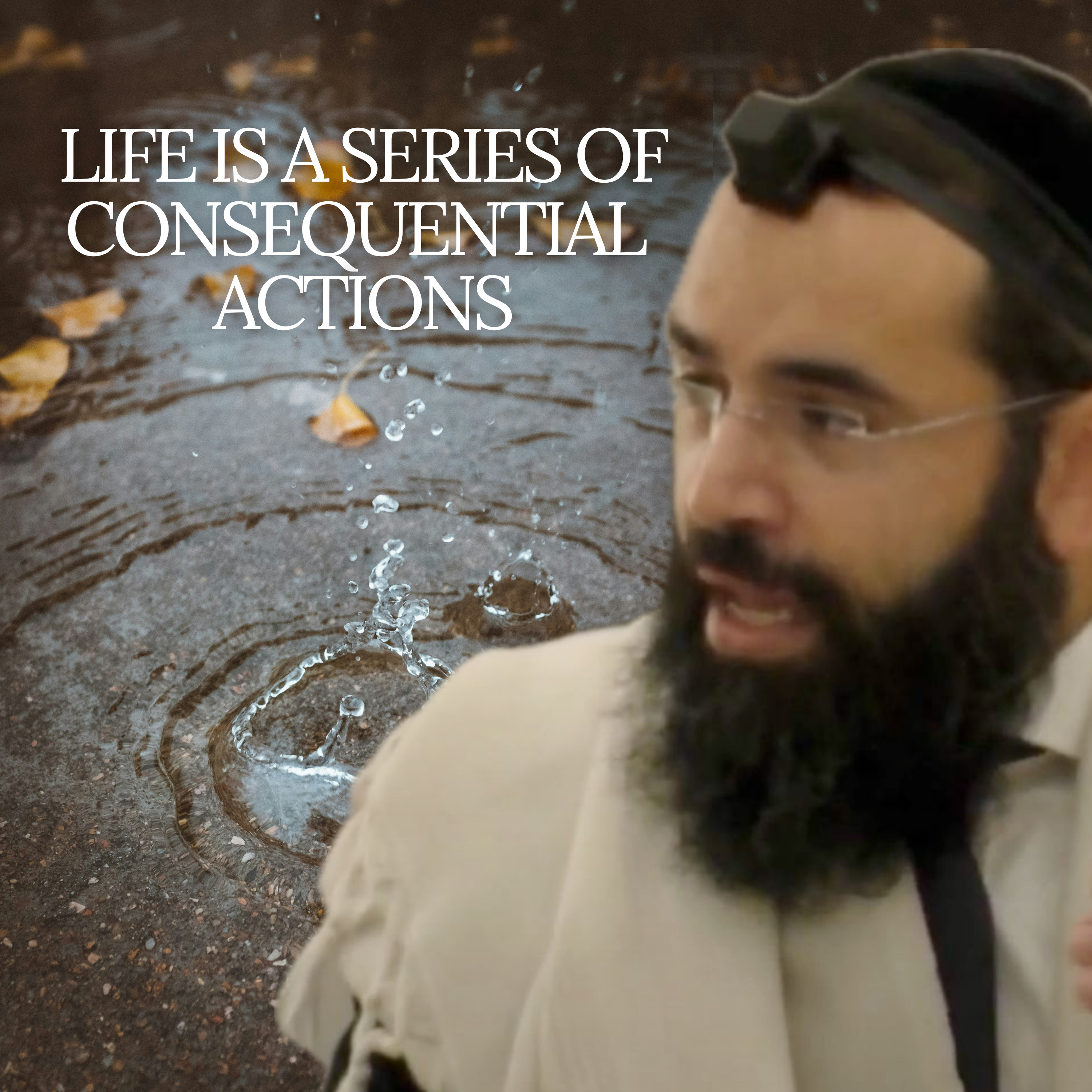 Life is a Series of Consequential Actions - Parshat Ki Teitzei