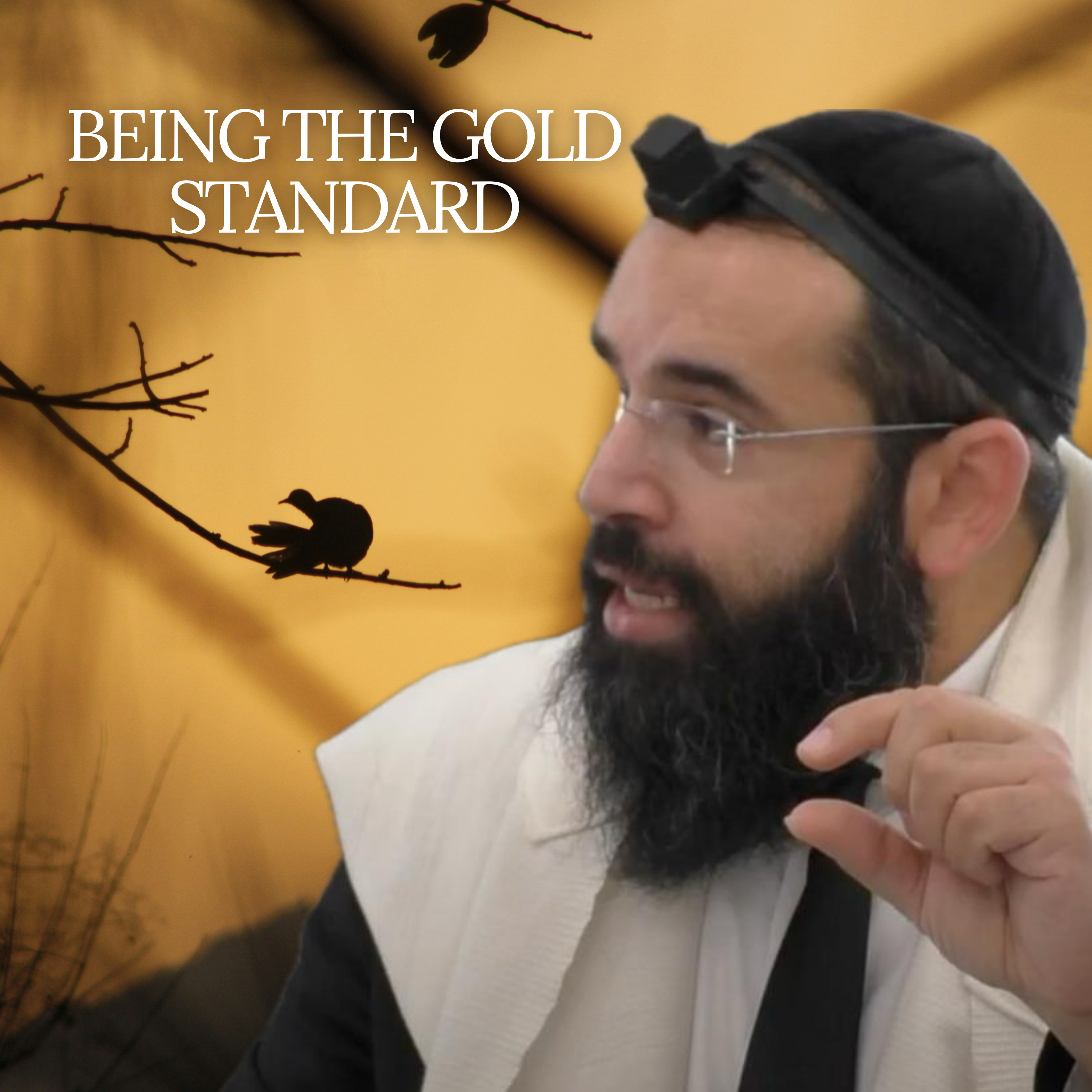 Being the Gold Standard - Parshat Ki Tavo