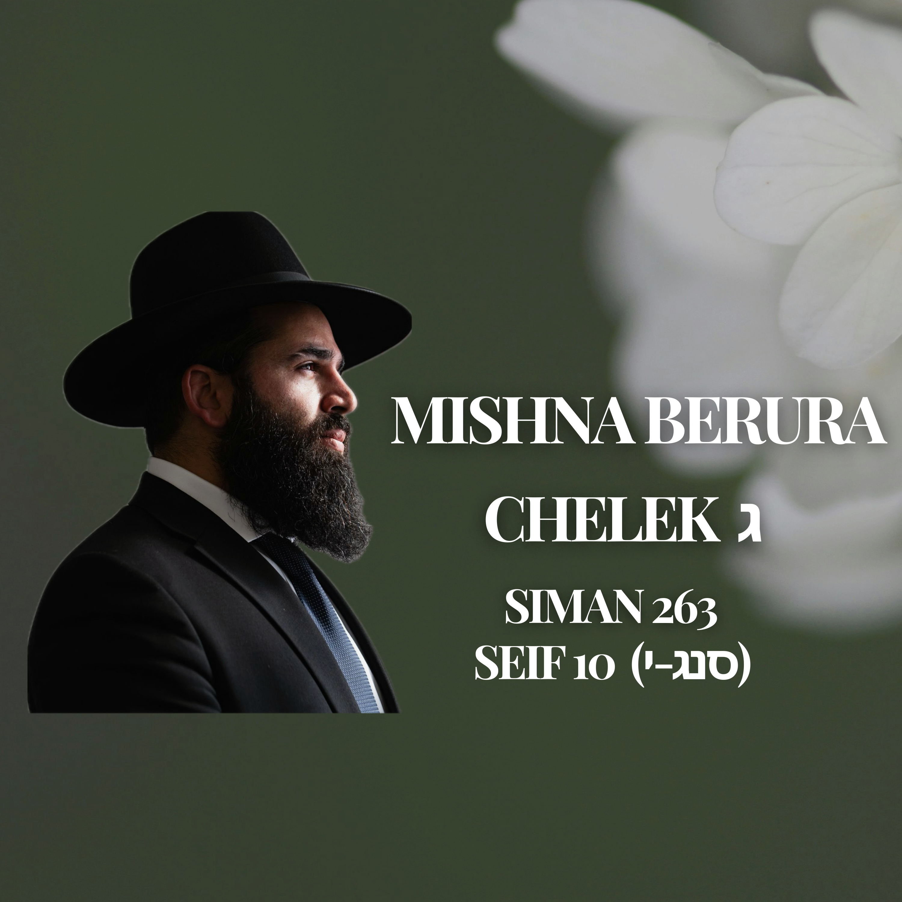 Mishna Berura Siman 263 Seif 10 (סנג-י)