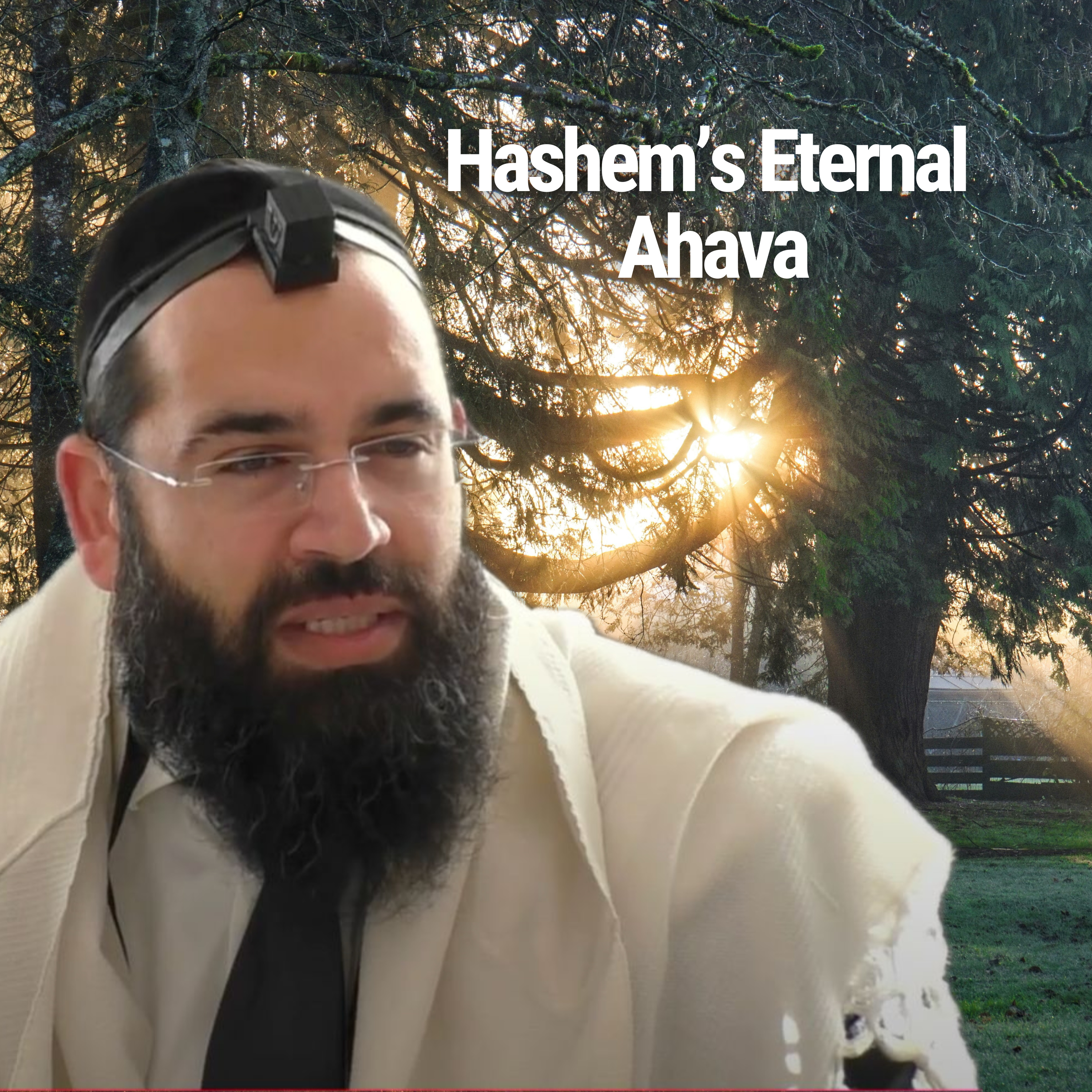 Hashem’s Eternal Ahava - Parshat Lech Lecha