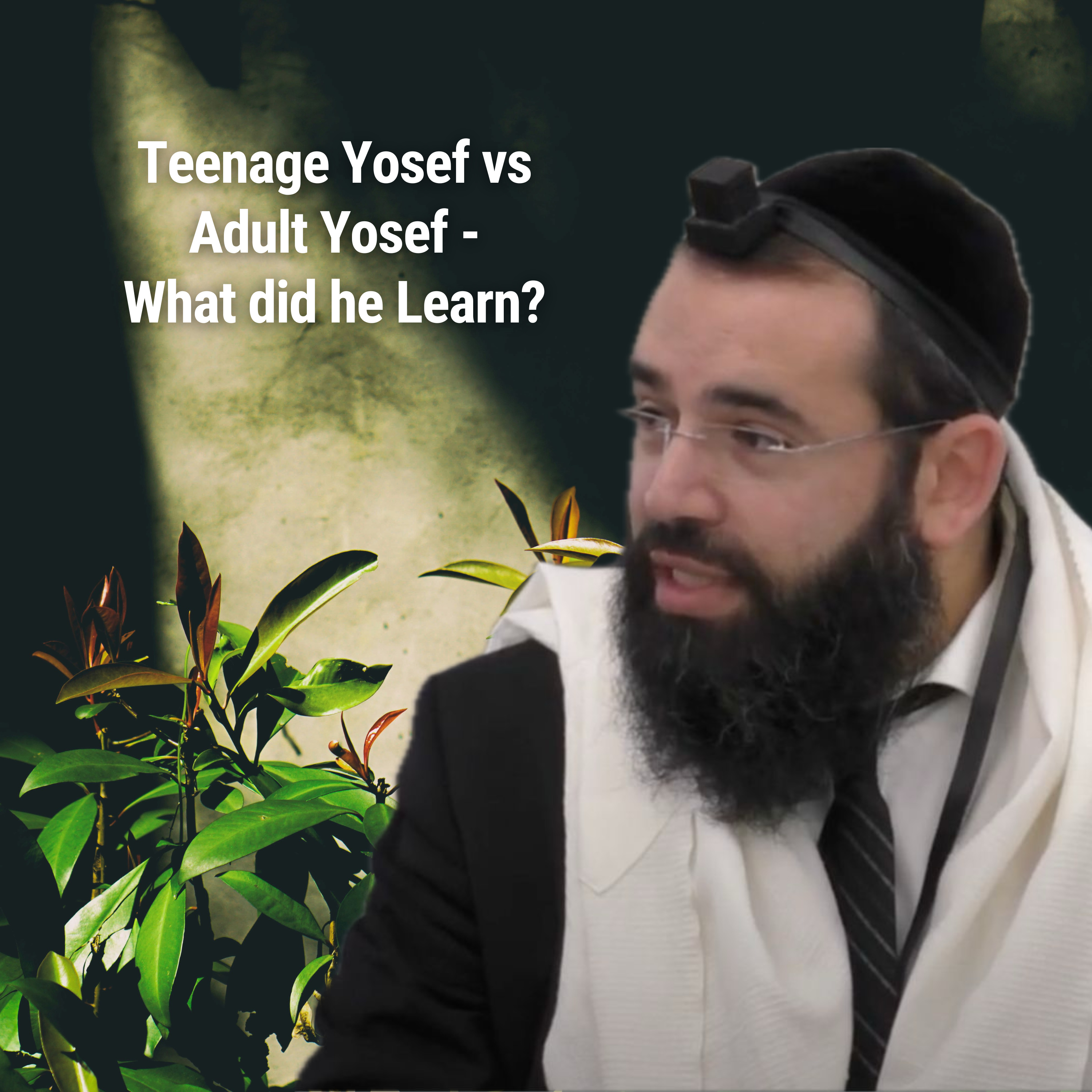 Teenage Yosef vs Adult Yosef - What did he Learn? - Parshat Vayeshev
