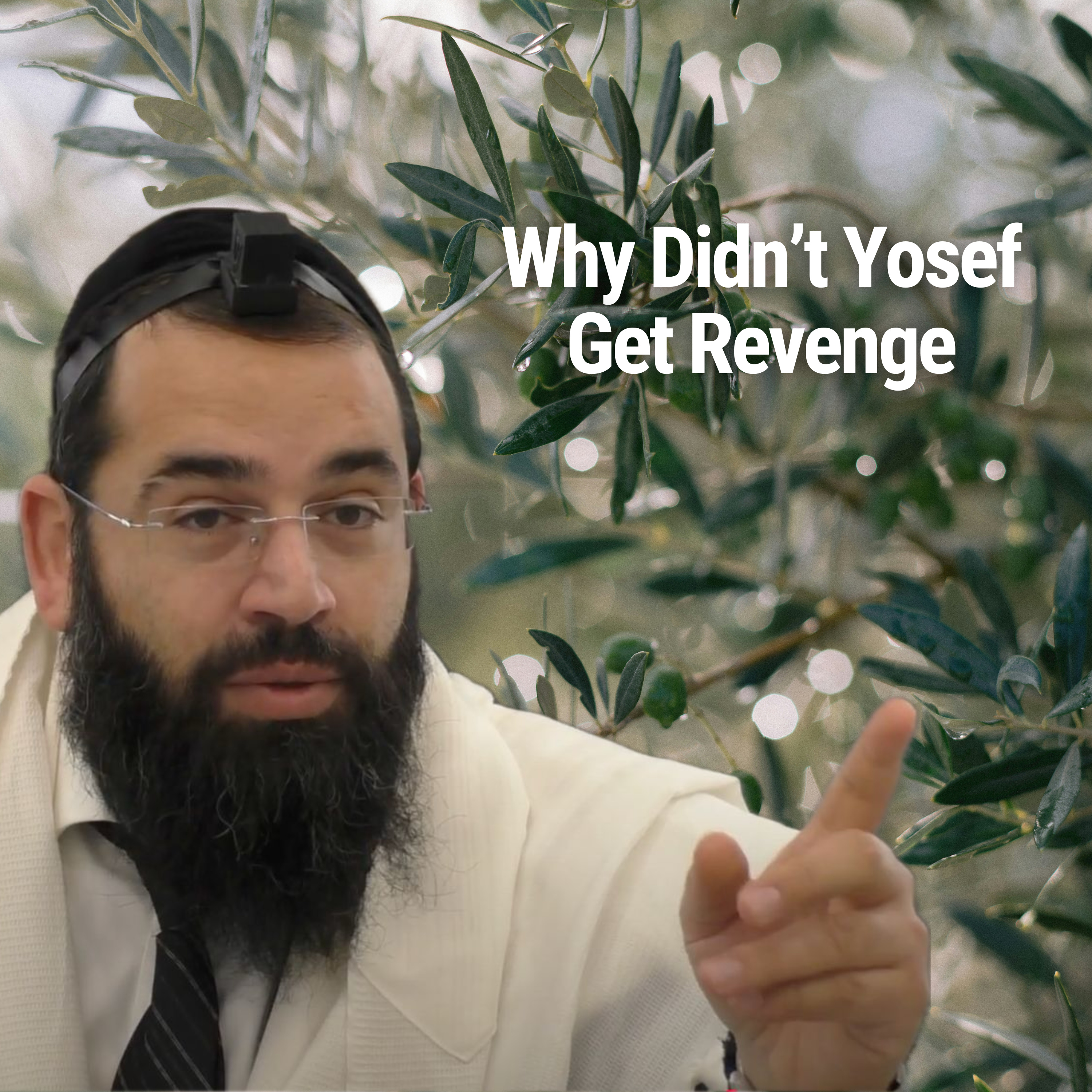 Why Didn’t Yosef Get Revenge - Parshat Vayigash