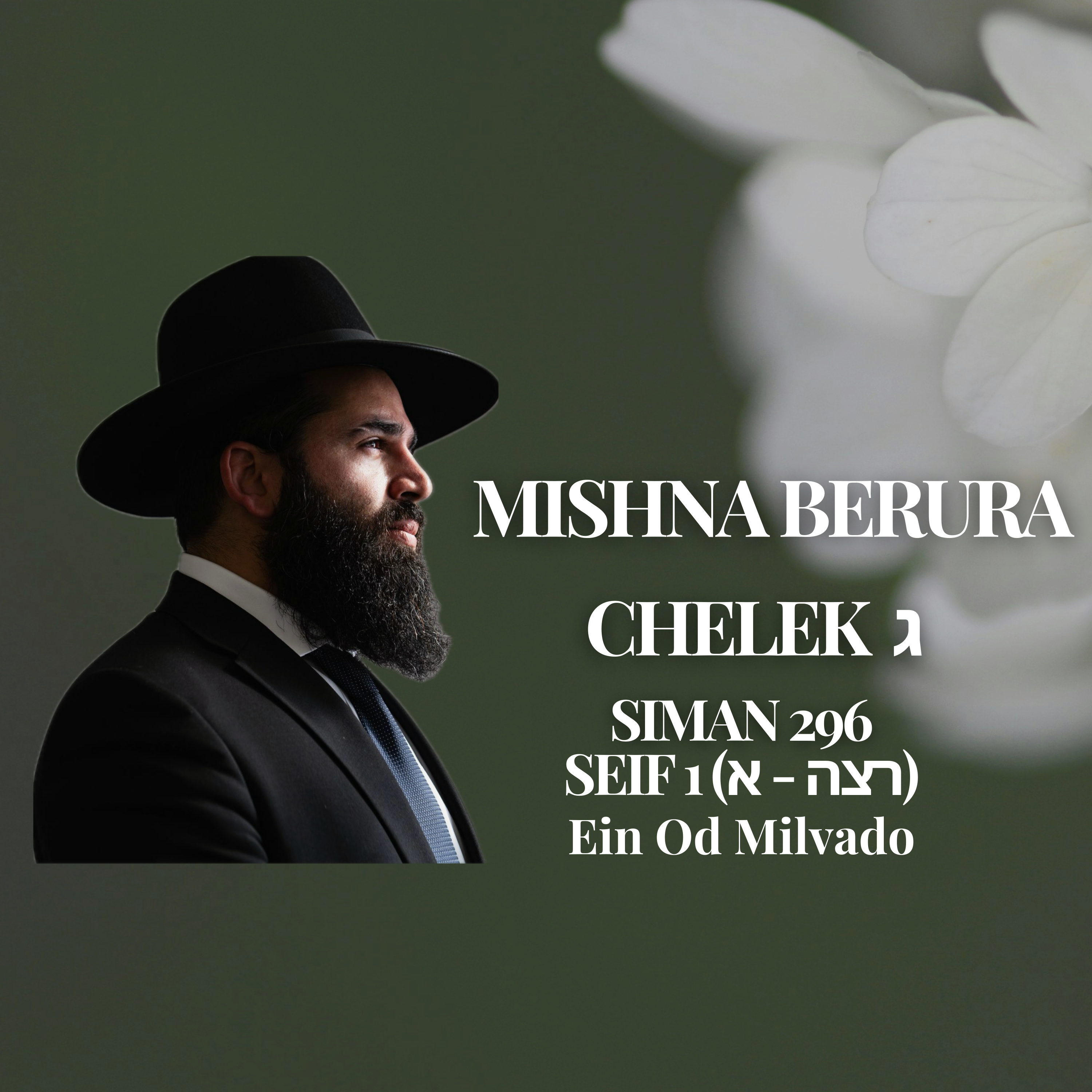Mishna Berura Siman 296 Seif 1 (רצו - א‎)