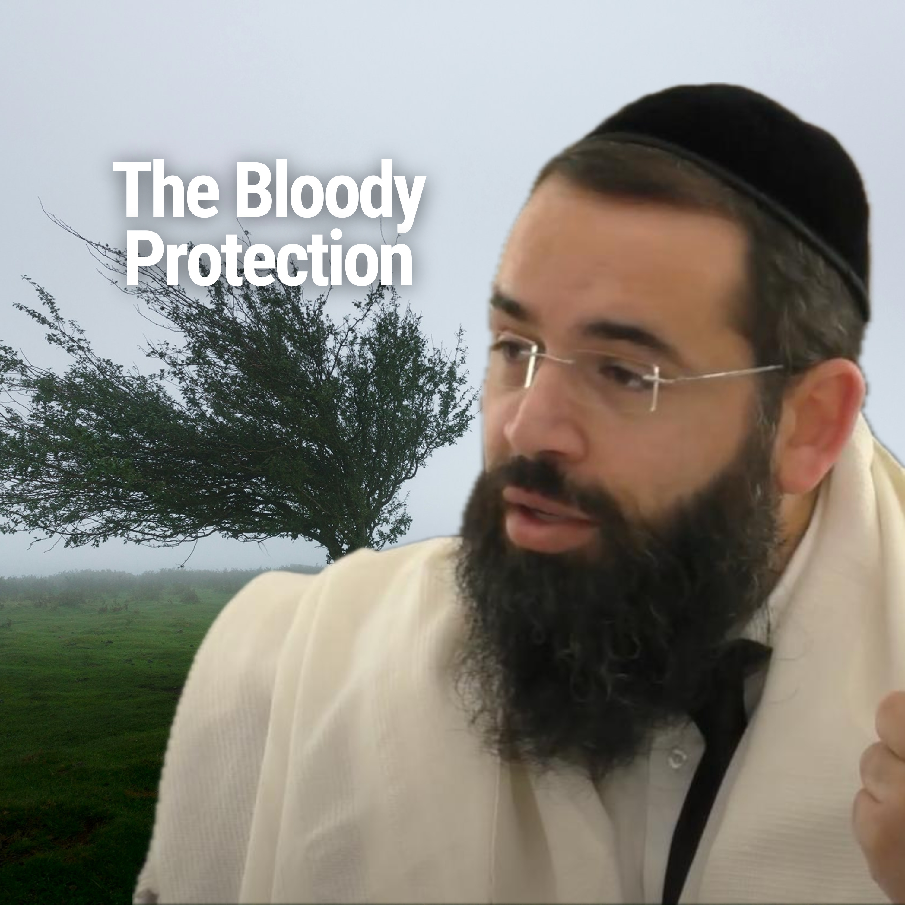 The Bloody Protection - Parshat Bo