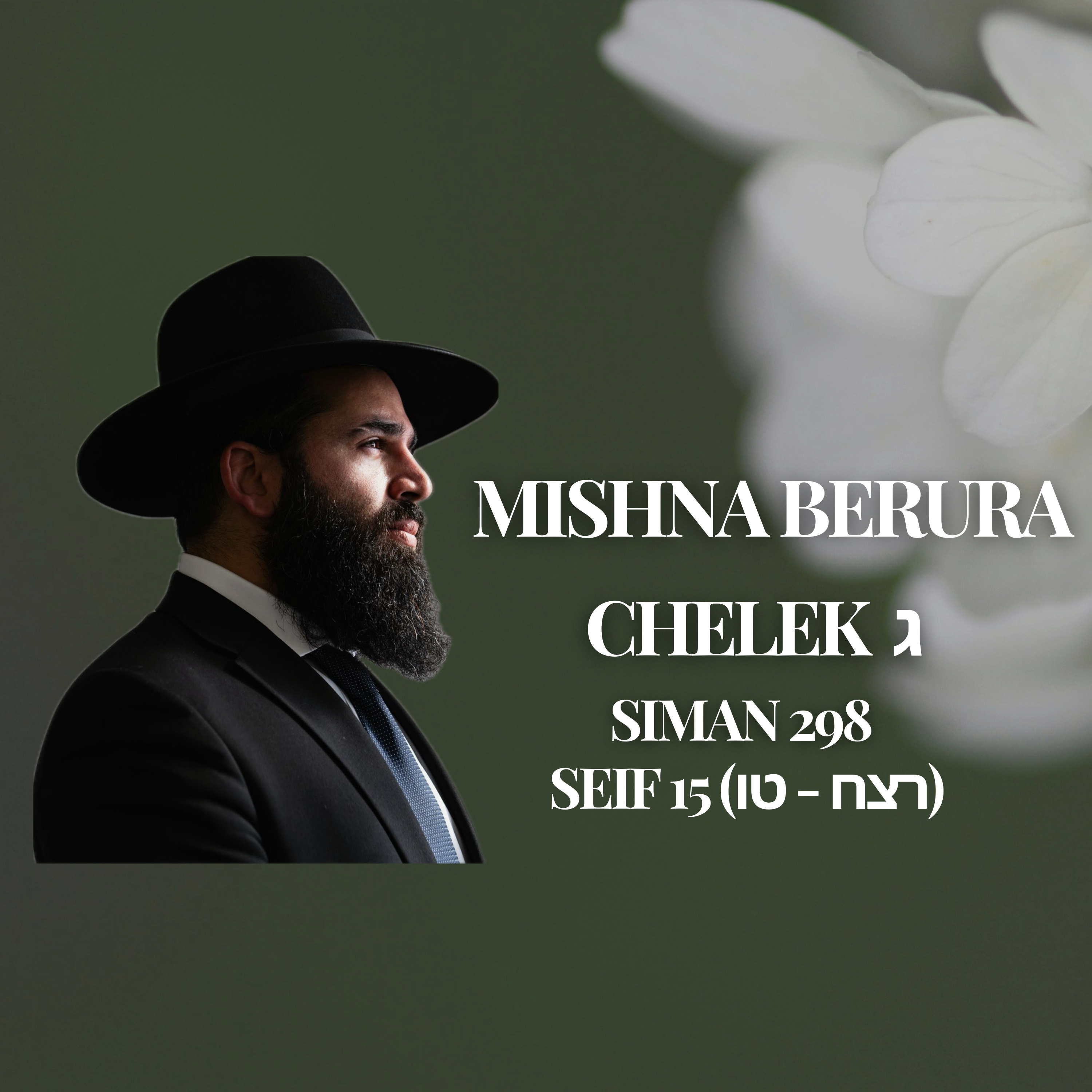 Mishna Berura Siman 298 Seif 15 (רצח - טו‎‎)