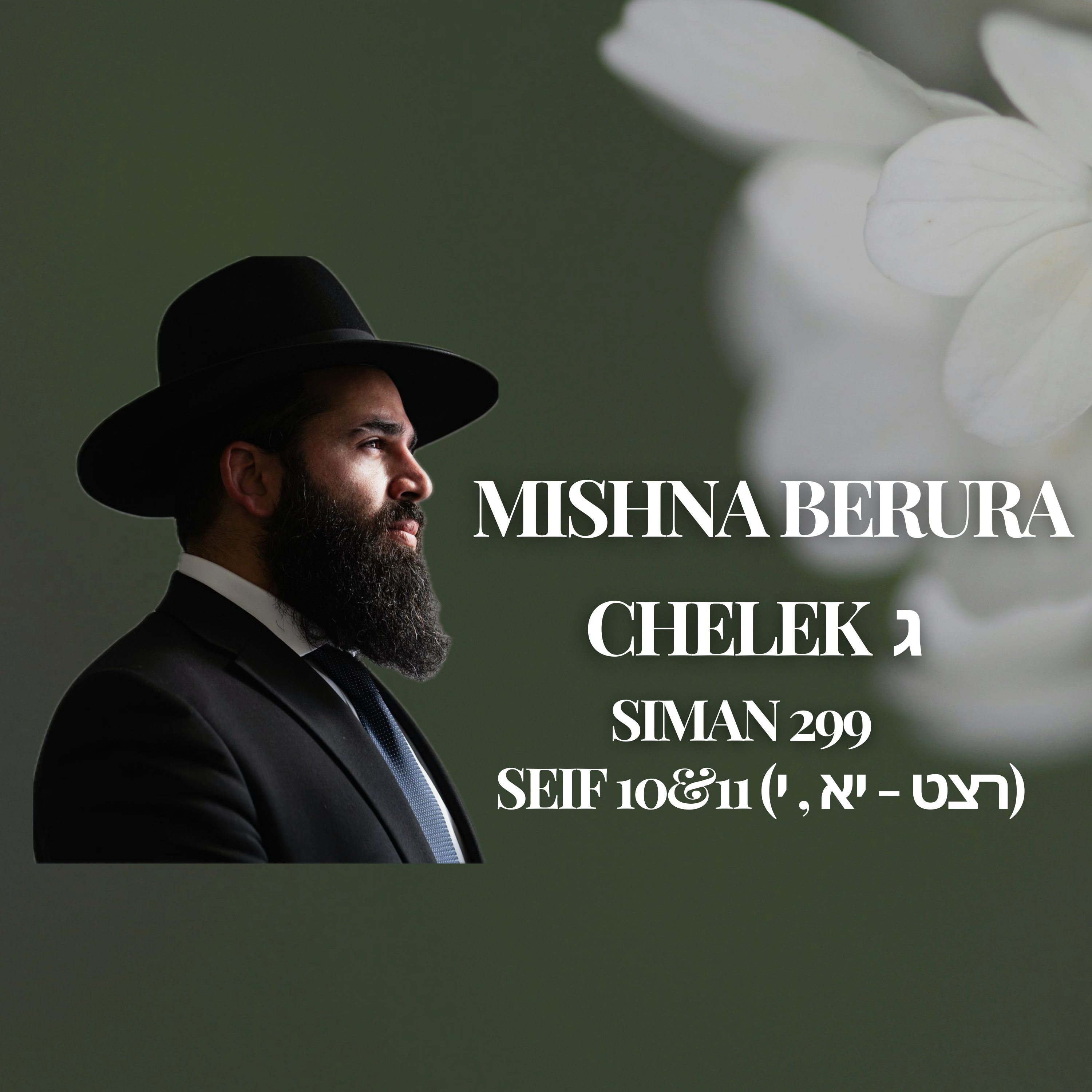 Mishna Berura Siman 299 Seif 10 & 11 (רצט - יא , י‎‎‎)