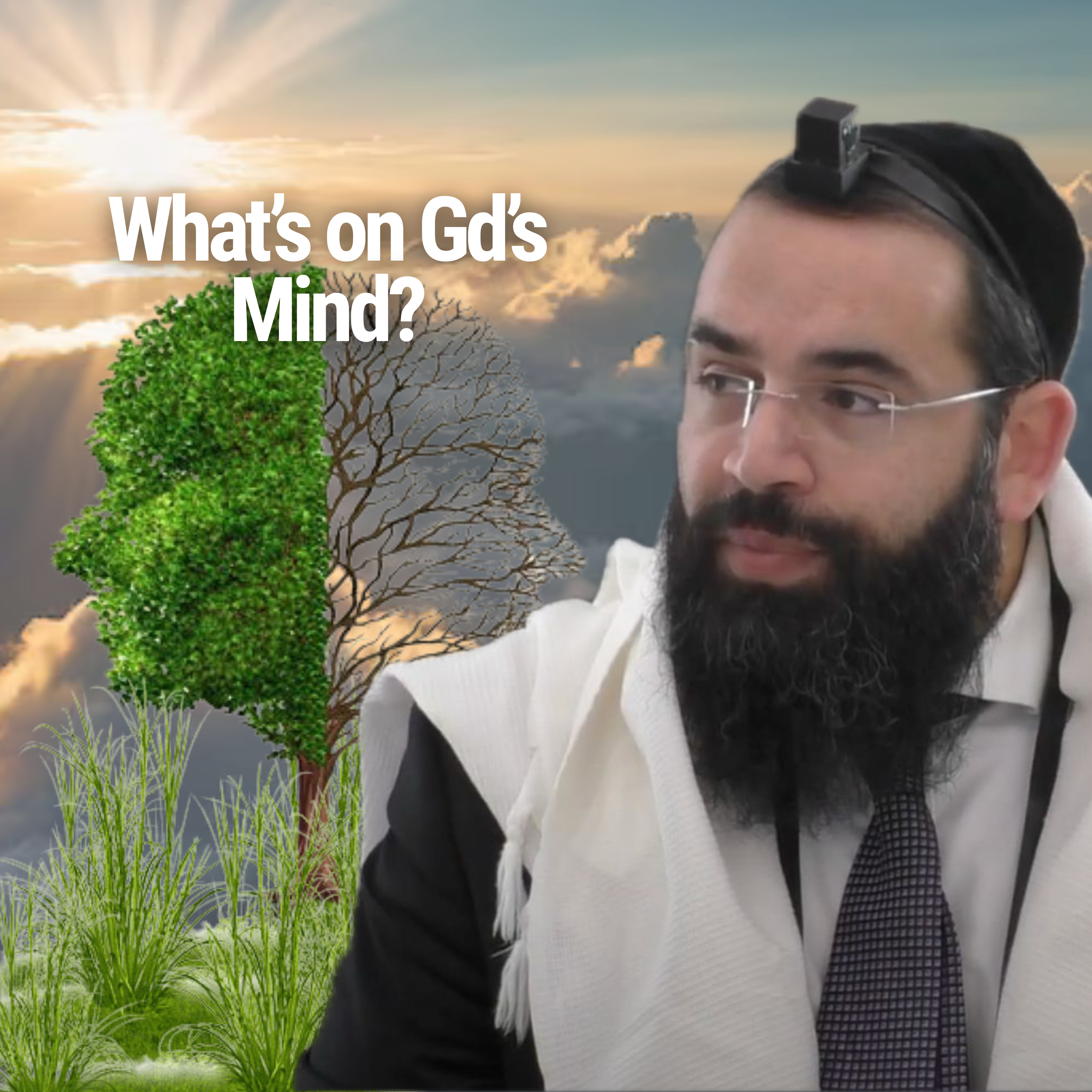 What’s on Gd’s Mind? - Parshat Mishpatim
