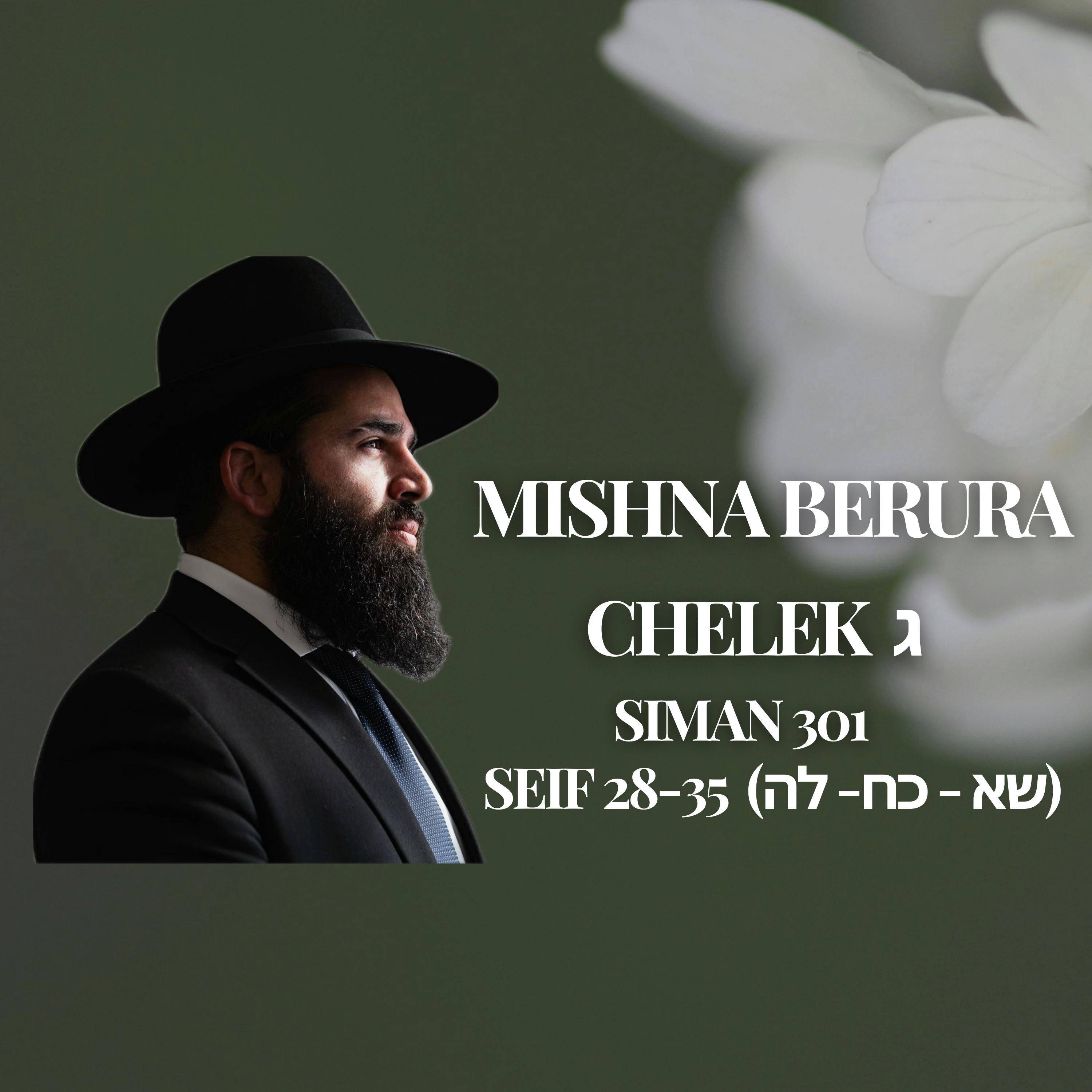 Mishna Berura Siman 301 Seif 28-35 (שא - כח- לה‎‎‎‎‎)