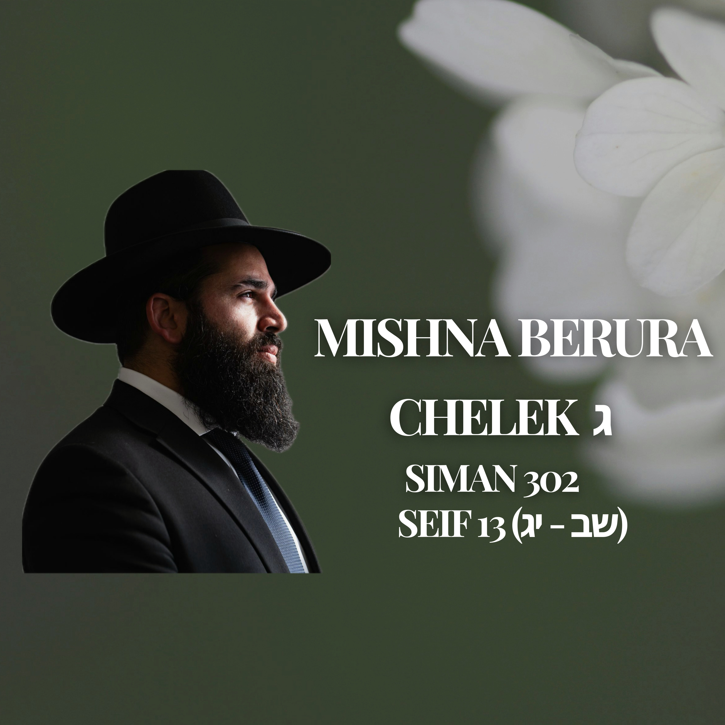 Mishna Berura Siman 302 Seif 13 (שב - יג‎‎‎‎‎)