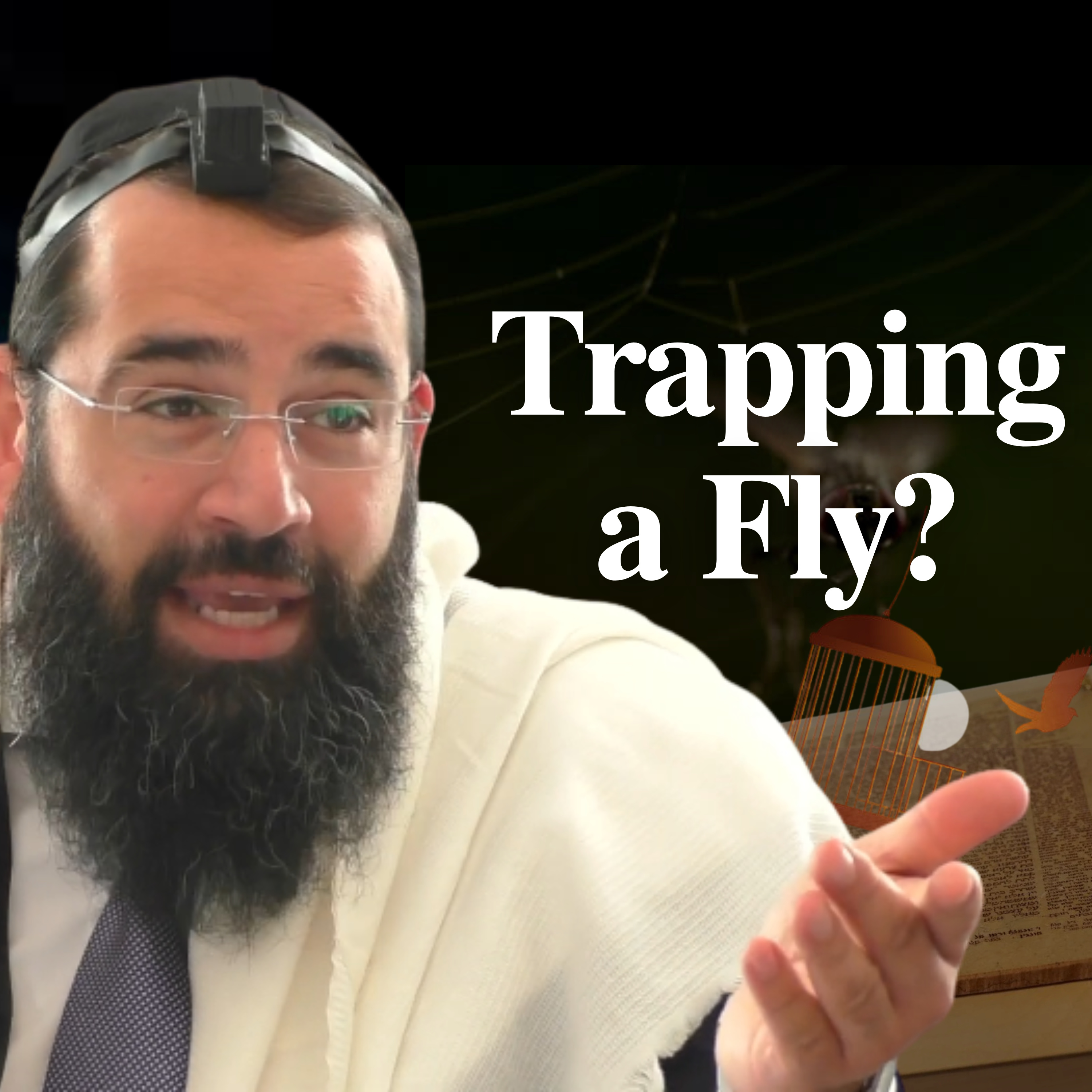 What Counts as Trapping on Shabbat?