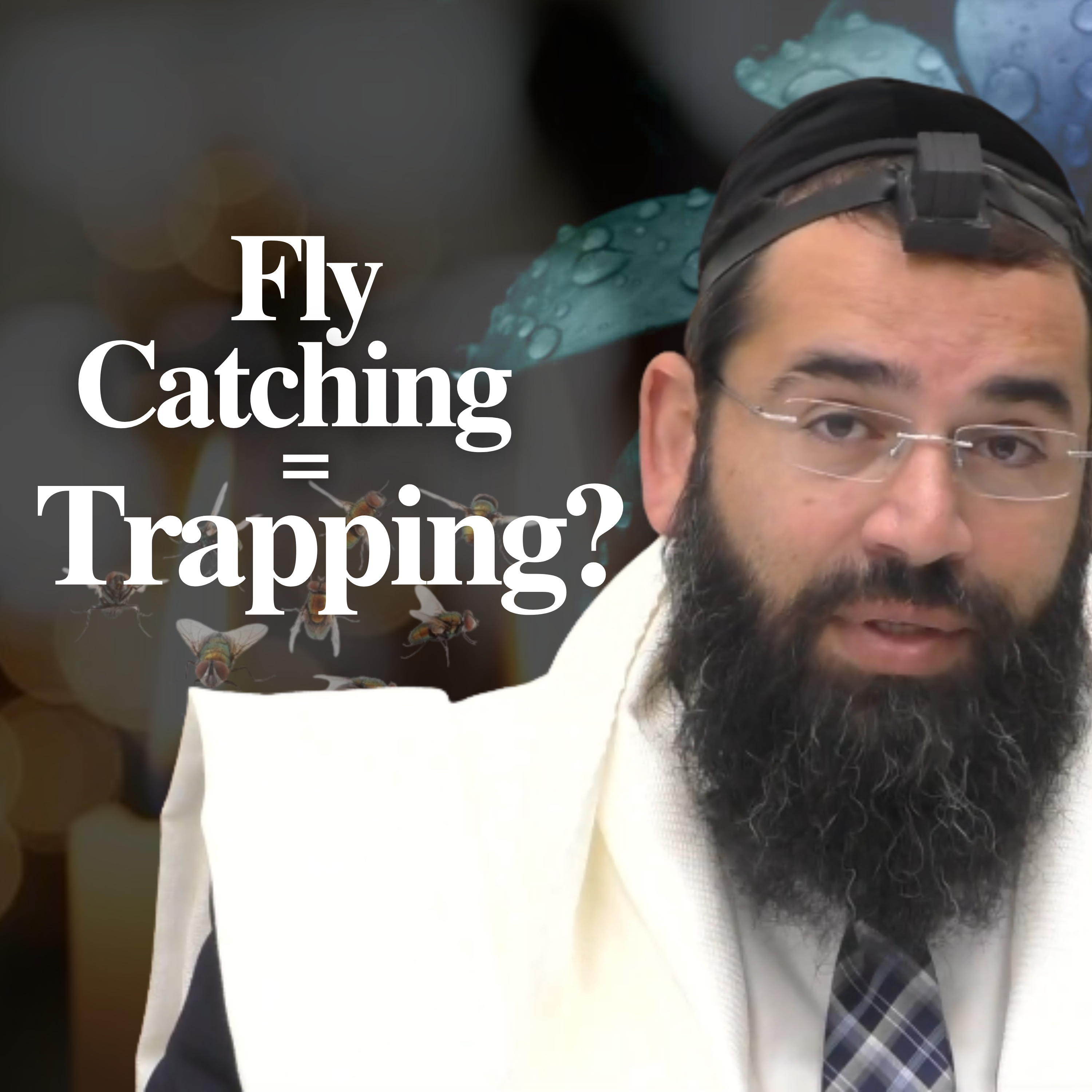 Does Catching a Fly Count as Trapping?