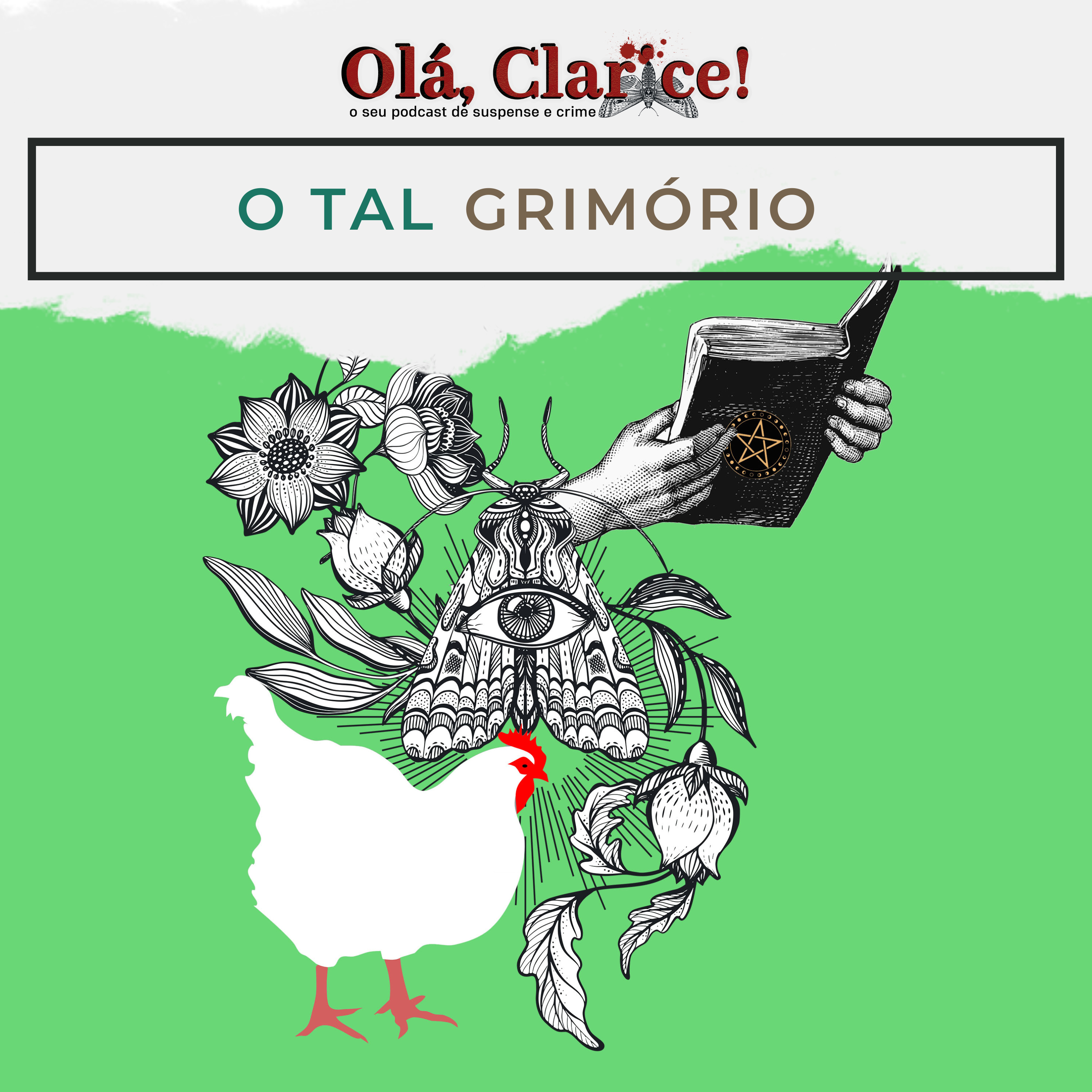 Olá, Clarice!
