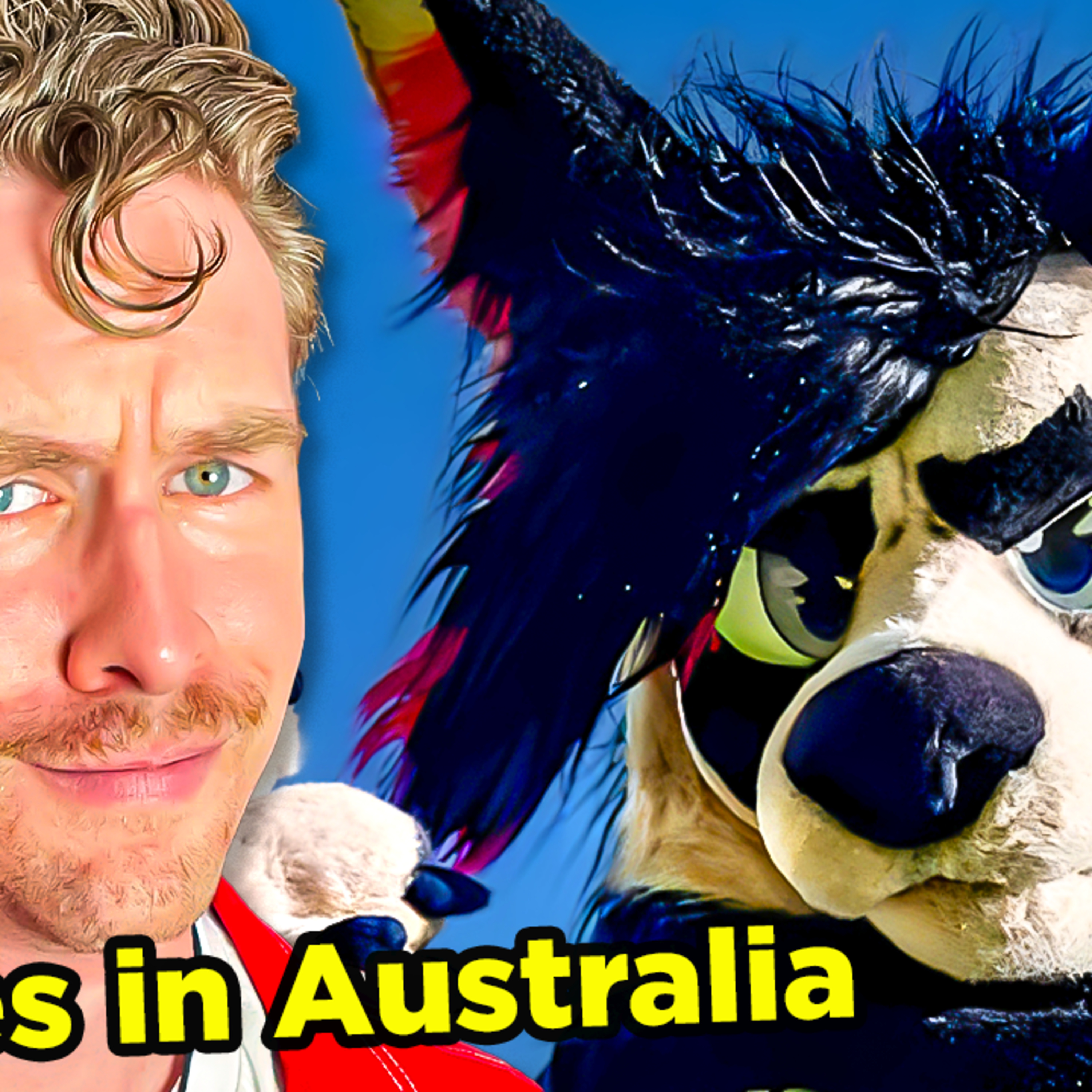 Spears VS Furries in Australia