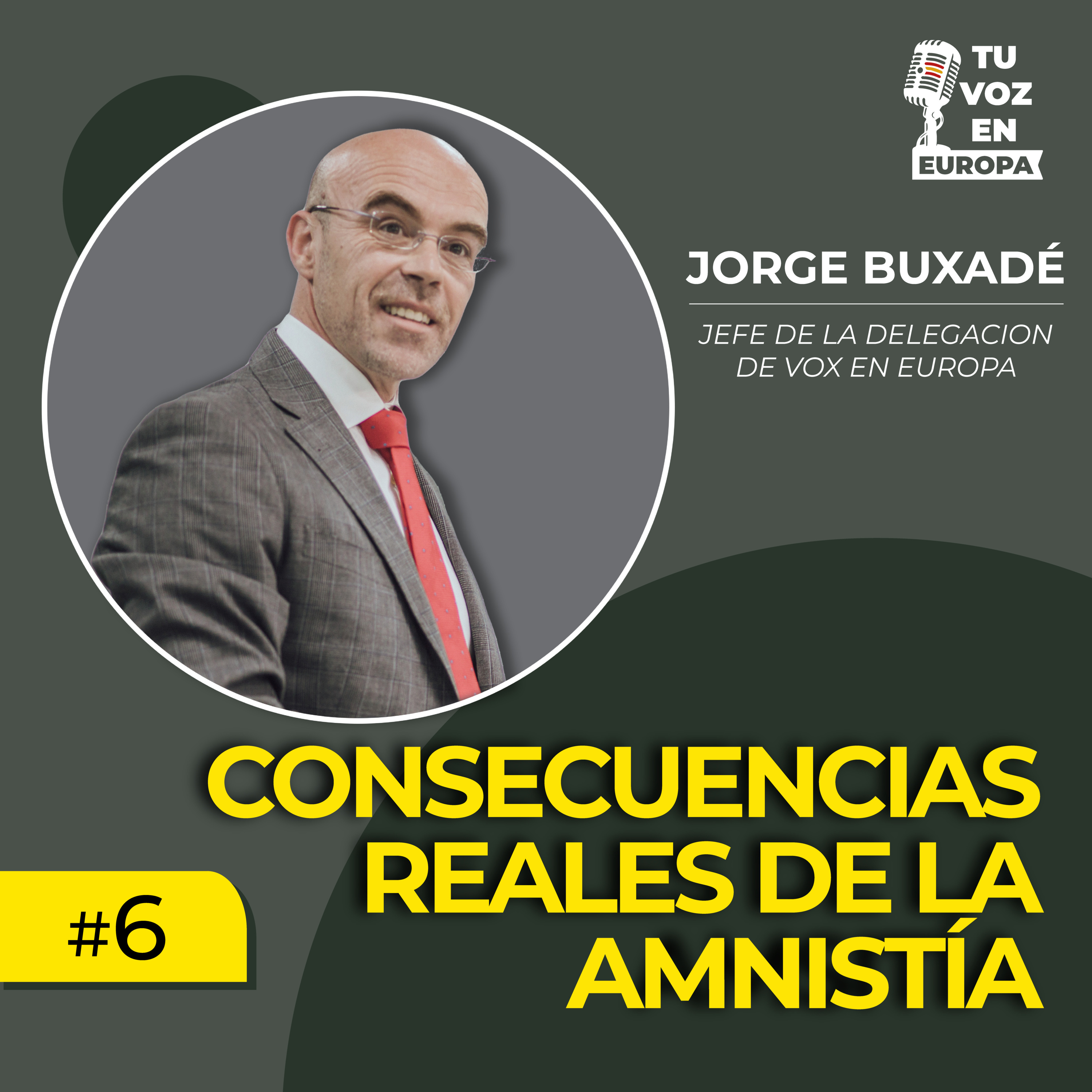 TU VOZ EN EUROPA | #6 con JORGE BUXADÉ | Consecuencias reales de la amnistía episode artwork
