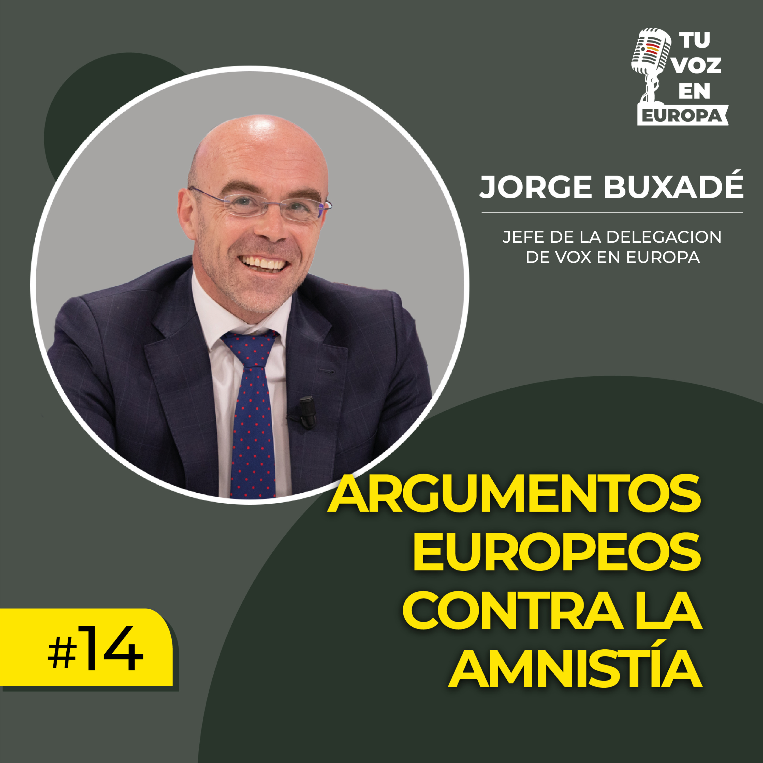 TU VOZ EN EUROPA | #14 con JORGE BUXADÉ | Argumentos europeos contra la amnistía episode artwork