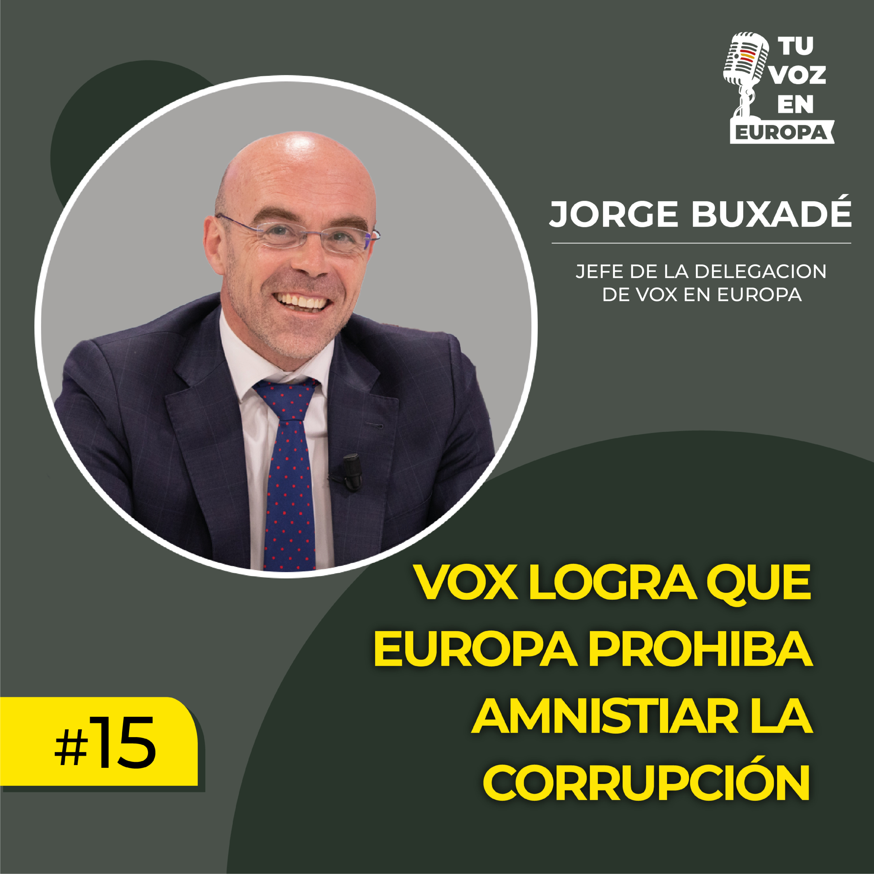 TU VOZ EN EUROPA | #15 con JORGE BUXADÉ | VOX logra que Europa prohíba amnistiar la corrupción episode artwork