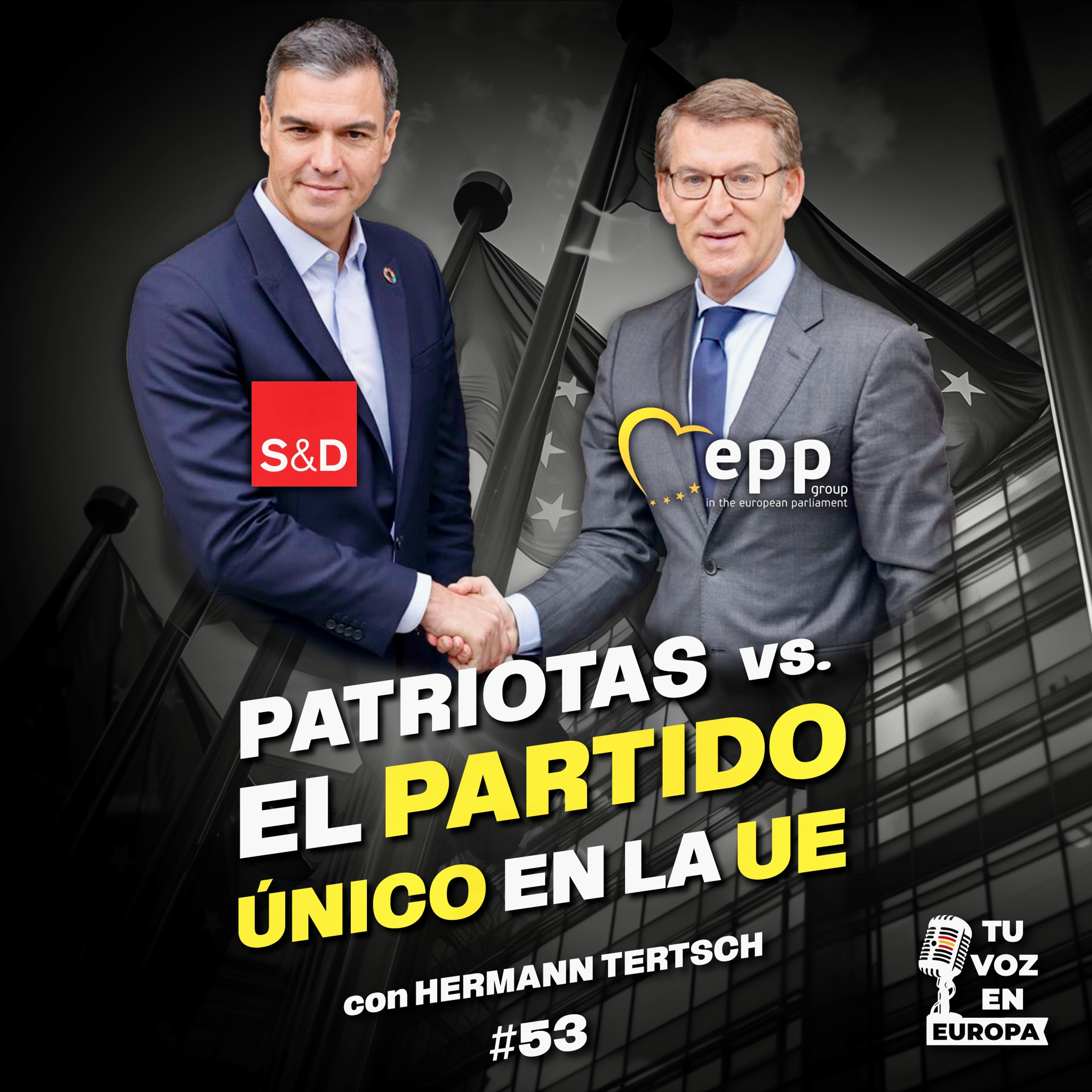 Patriotas VS el partido único de la UE | TU VOZ EN EUROPA | #53 con HERMANN TERTSCH episode artwork