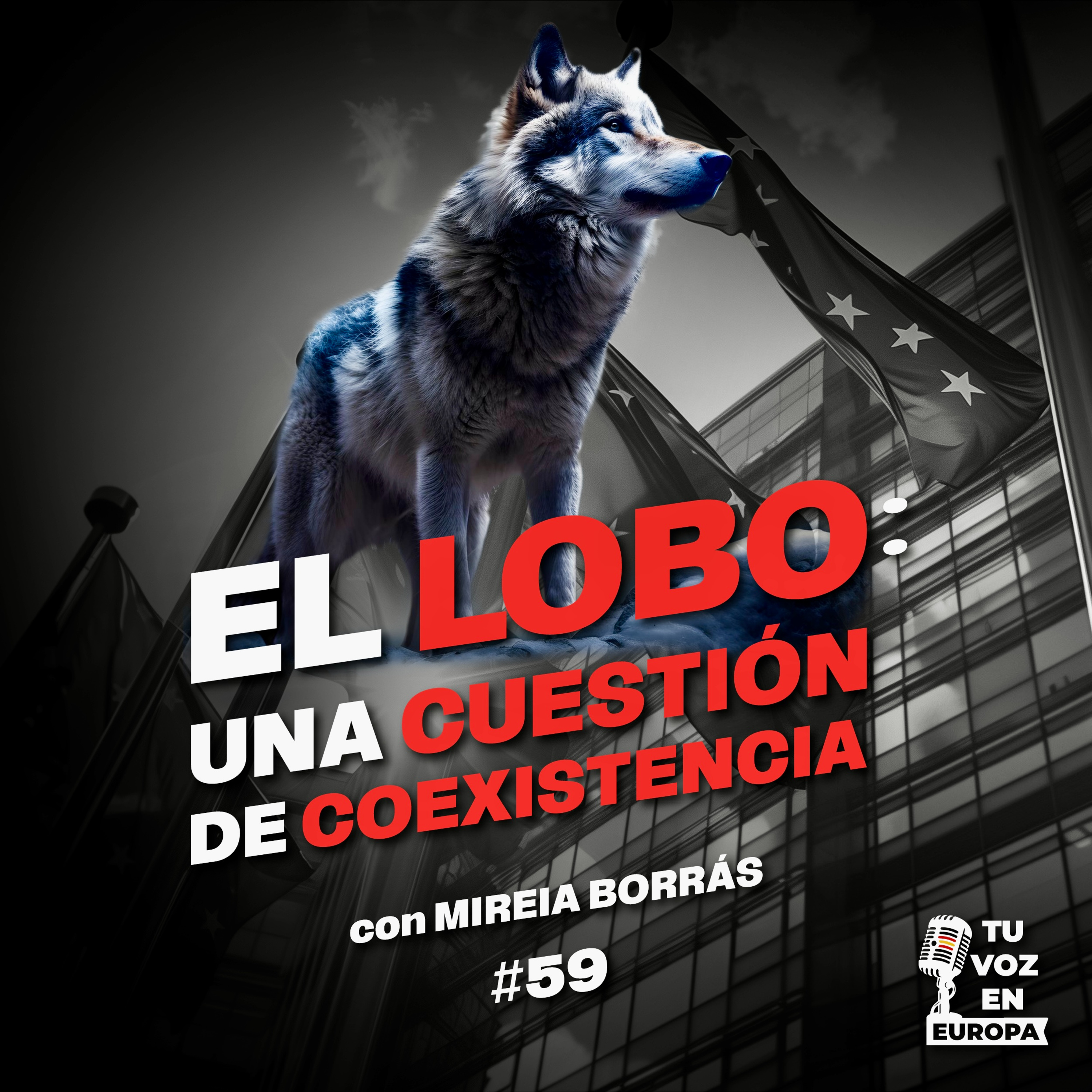 EL LOBO: una cuestión de coexistencia | TU VOZ EN EUROPA | #59 con MIREIA BORRÁS episode artwork