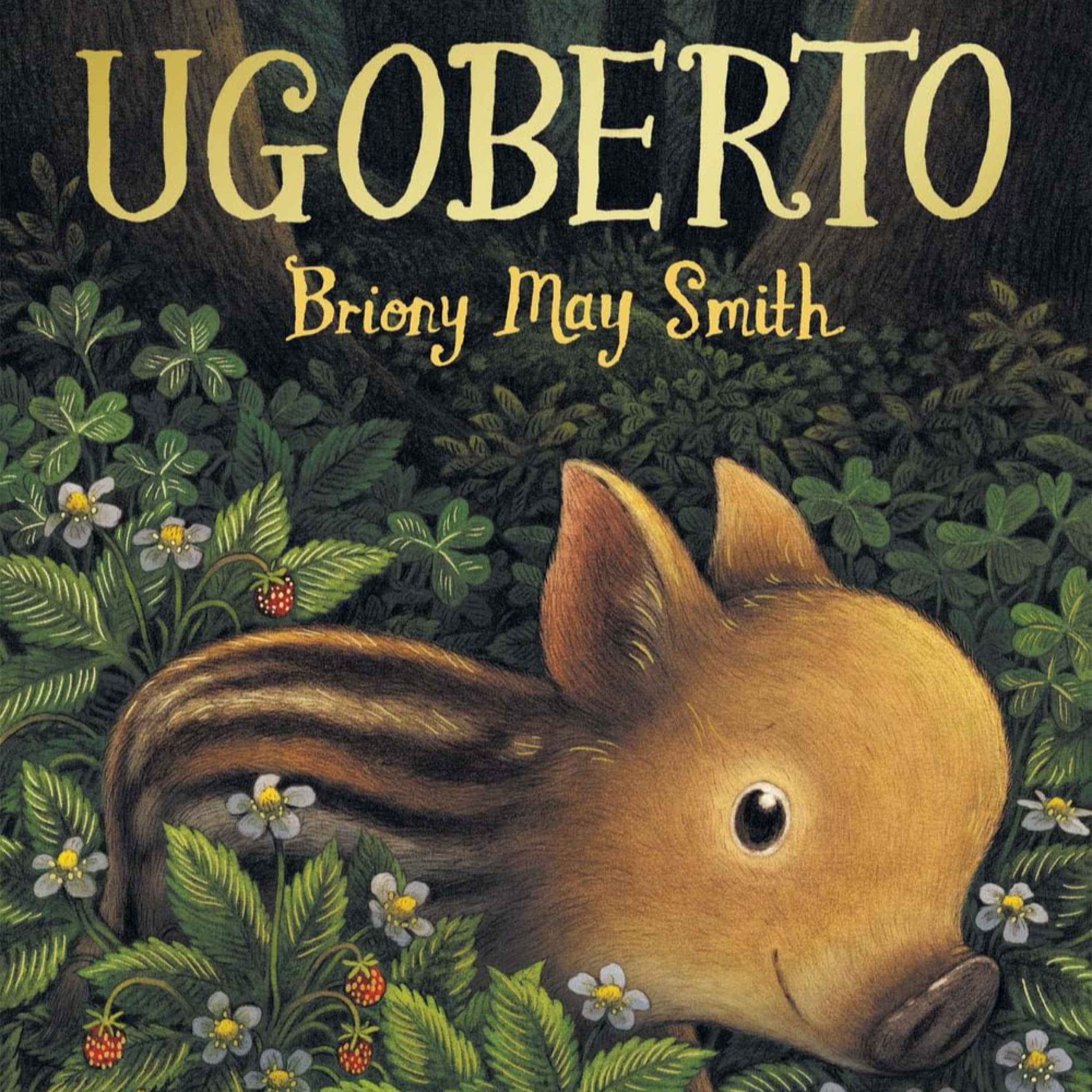 Ugoberto 🐗 di Briony May Smith - I libri consigliati da Favole nel traffico