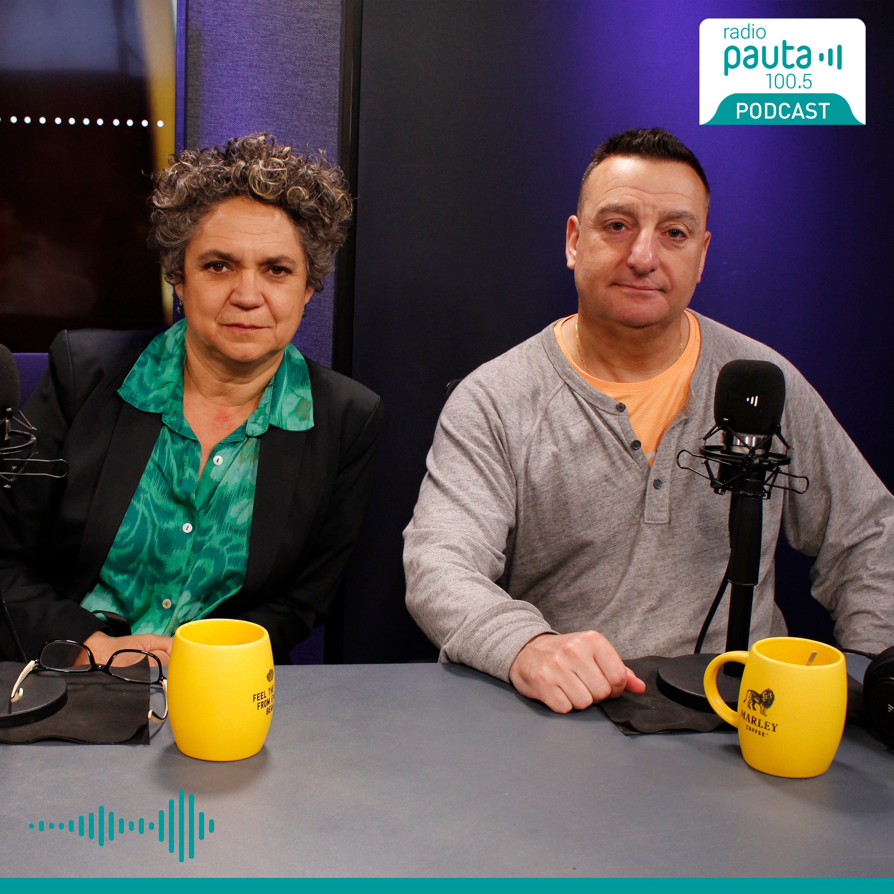 Panelistas de Pauta de Análisis