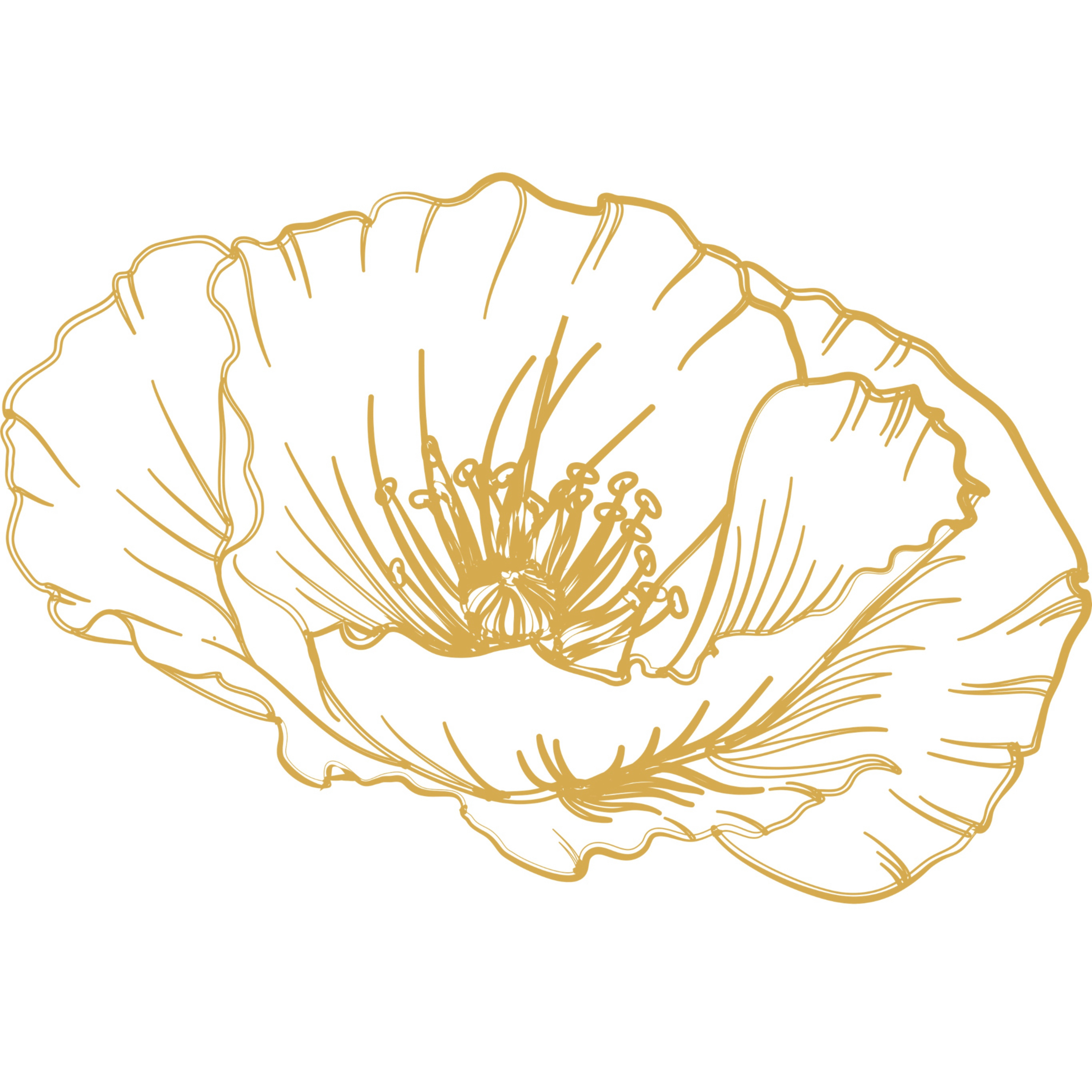 Podcast o kabale s Papaver episode artwork